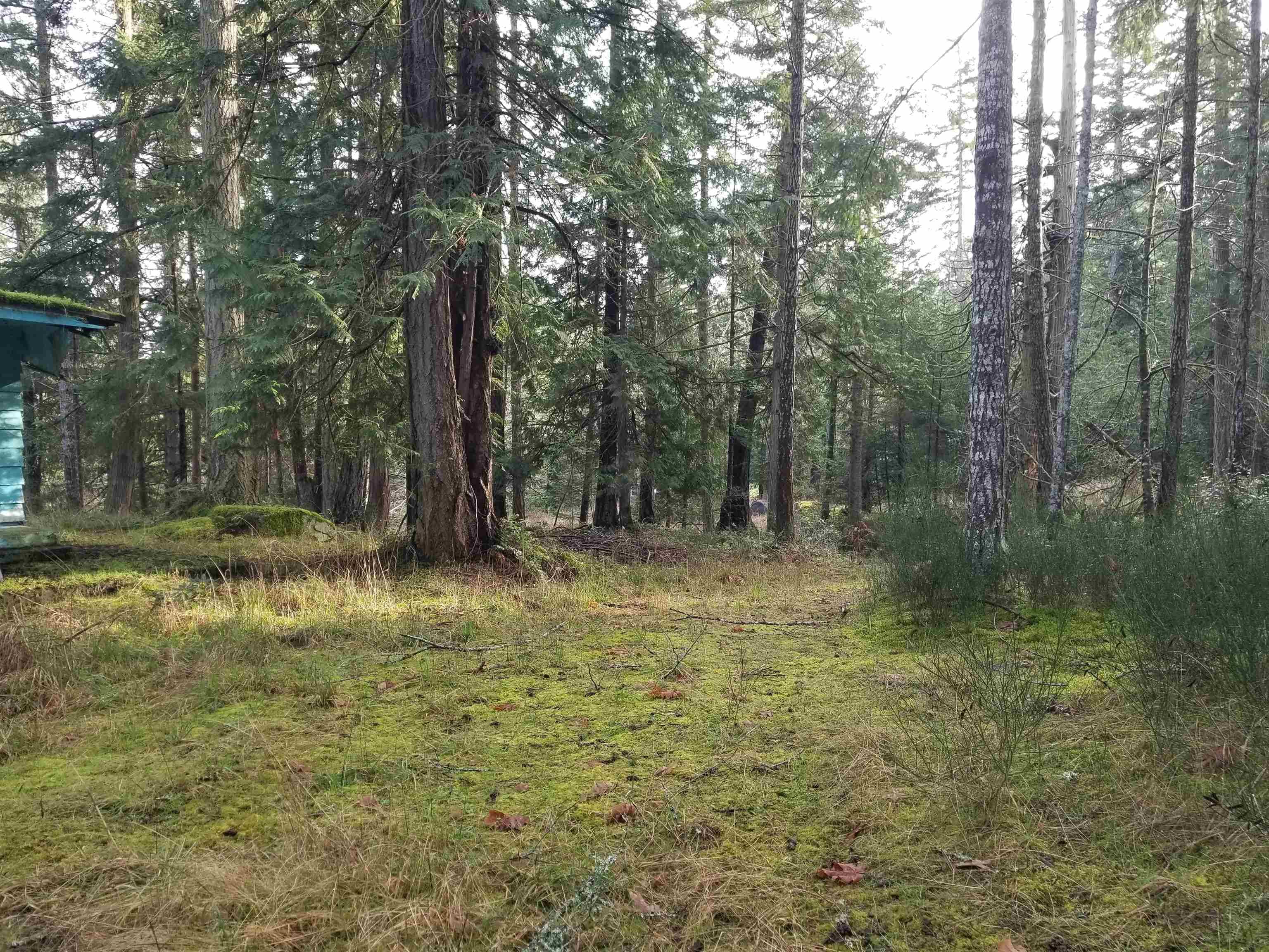 118 Burrill Road, Galiano Island, V0N 1P0 — photo 4
