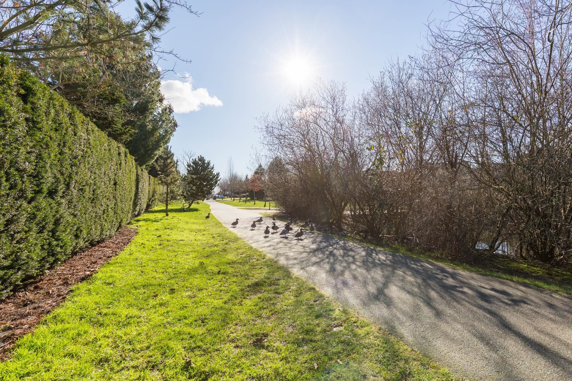 27 - 2603 162 Street, Surrey, V3Z 2L4 — photo 4