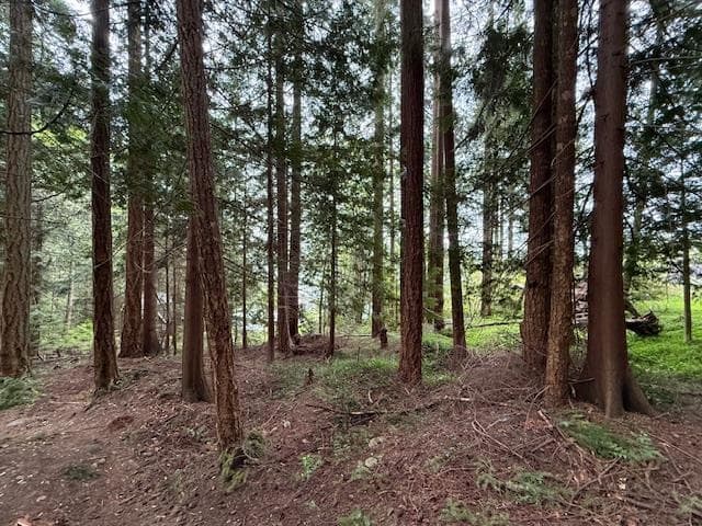 LOT 10 Elphinstone Avenue, Gibsons, A9A 9A9 — photo 5