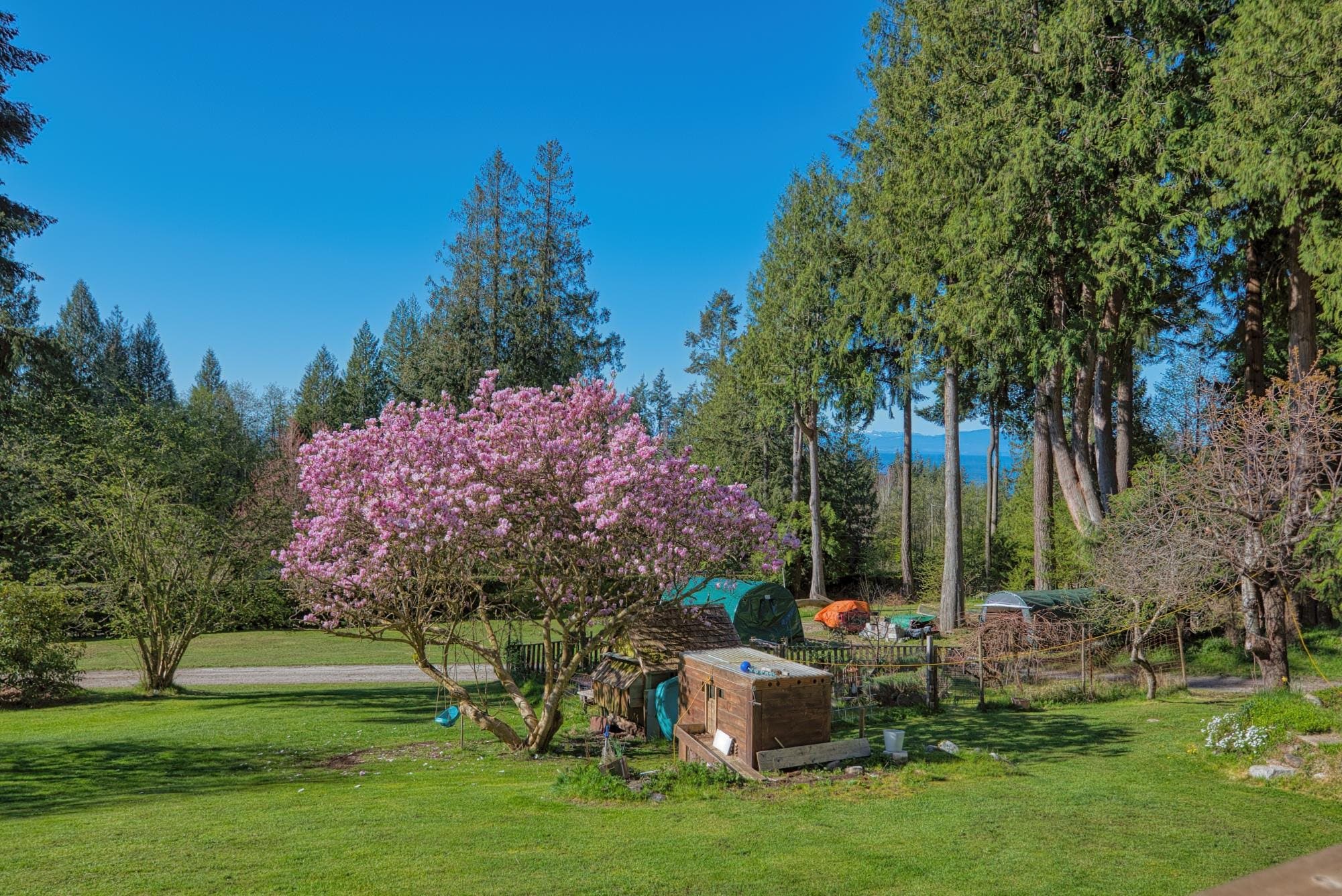 1106 A & B Gladwin Trail Road, Roberts Creek, V0N 2W4 — photo 5