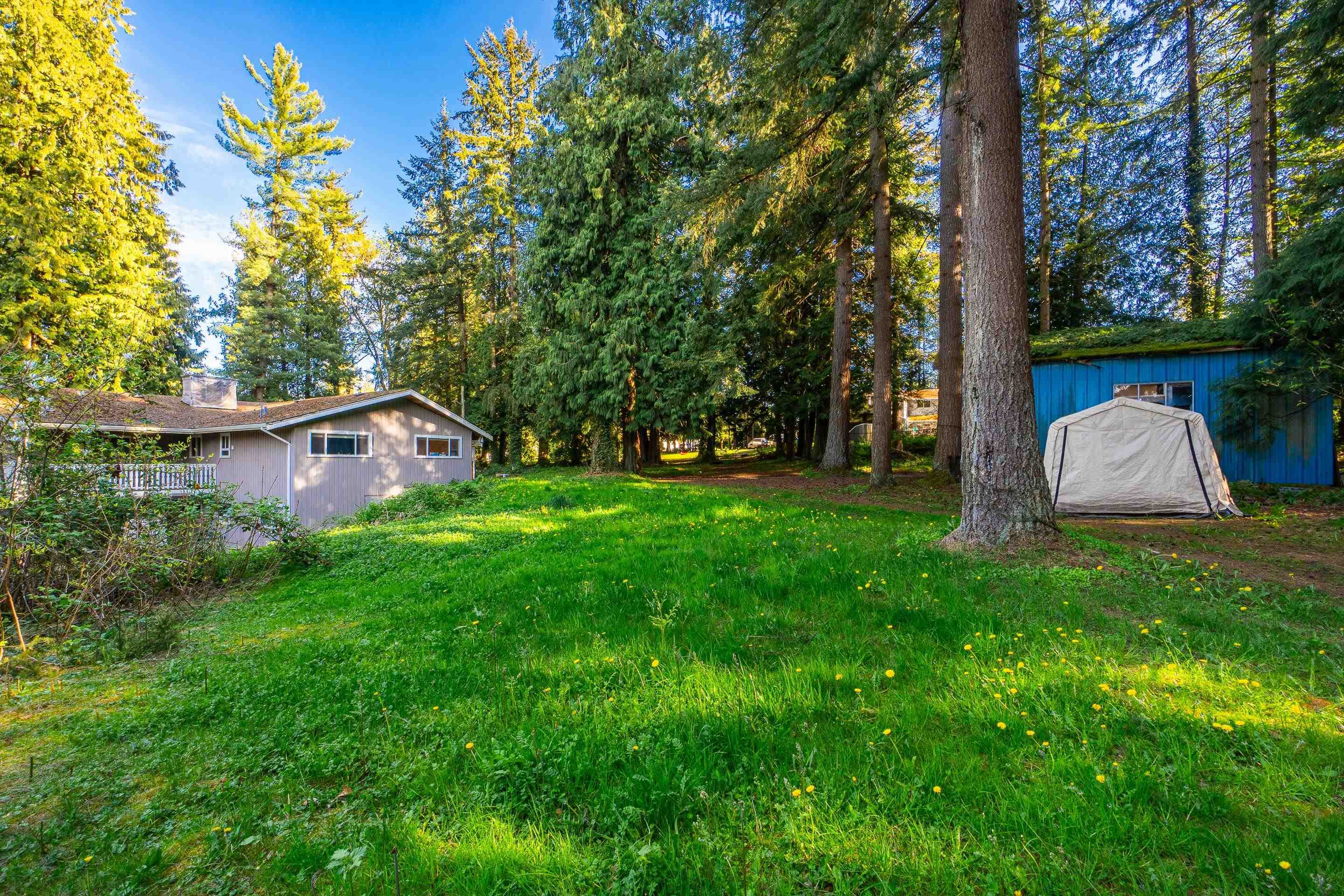 2727 176 Street, Surrey, V3Z 9V4 — photo 4