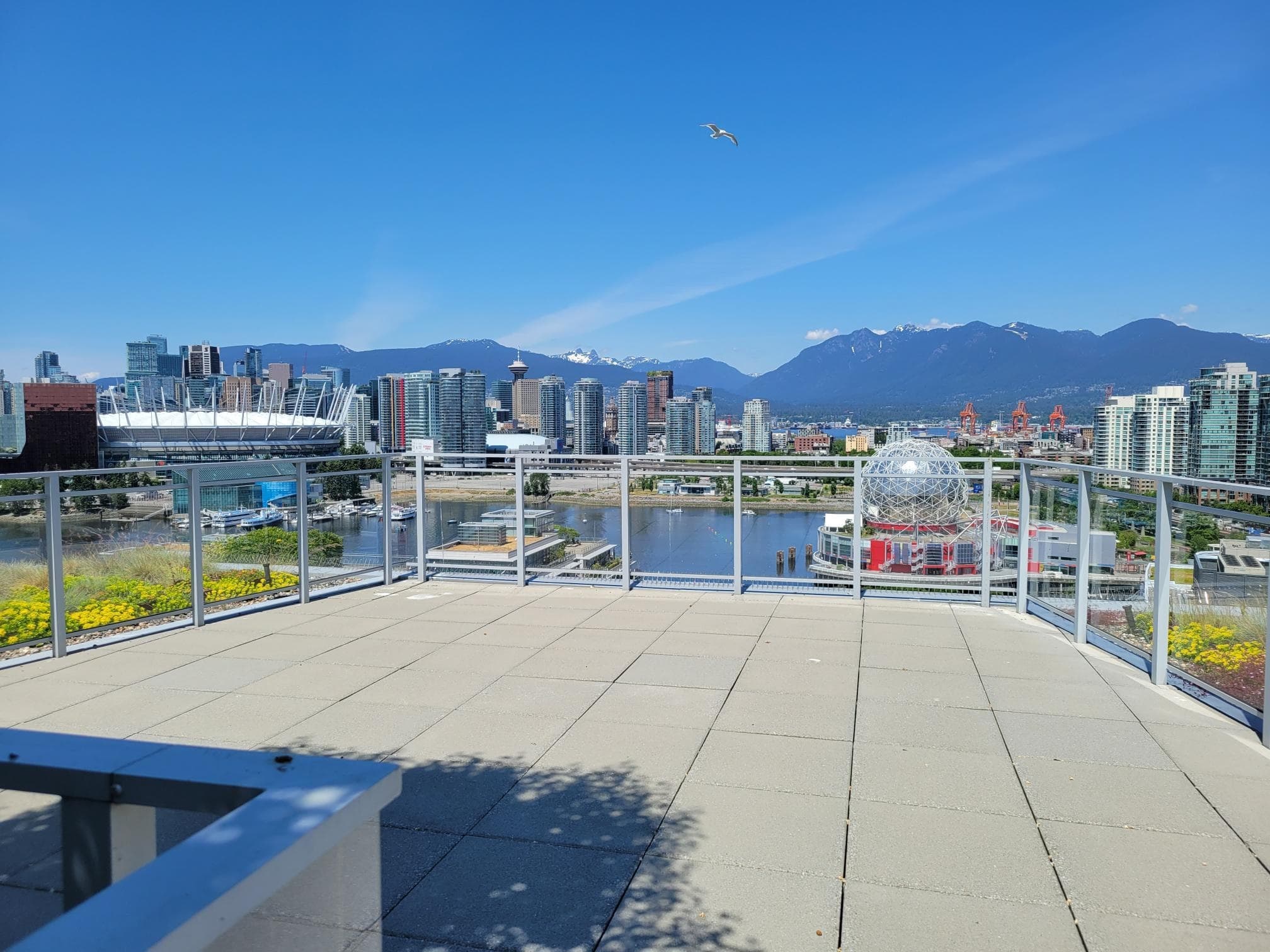 1803 - 1708 Ontario Street, Vancouver, V5T 0J7 — photo 3