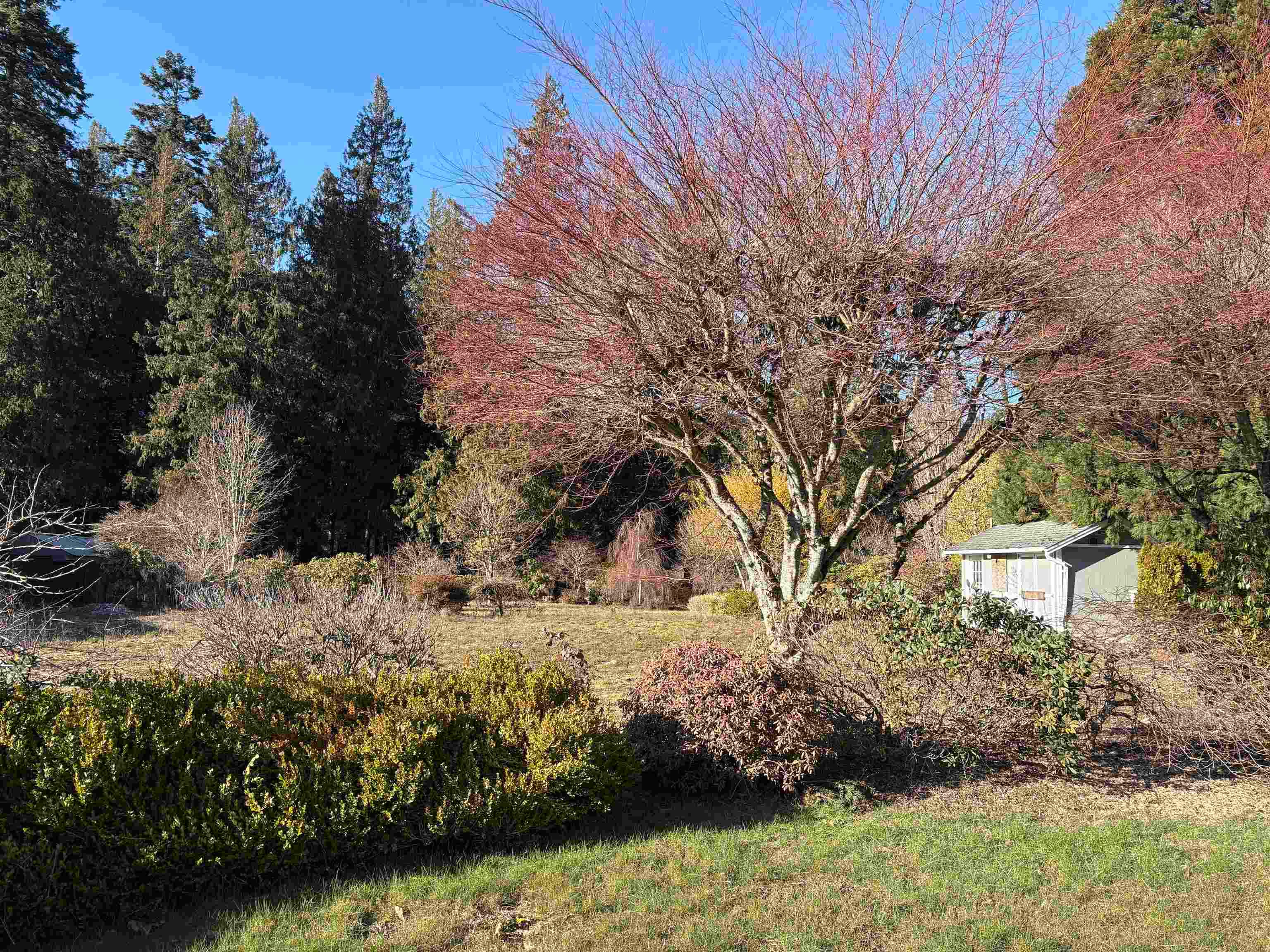 689 Hazel Street, Hope, V0X 1L0 — photo 4