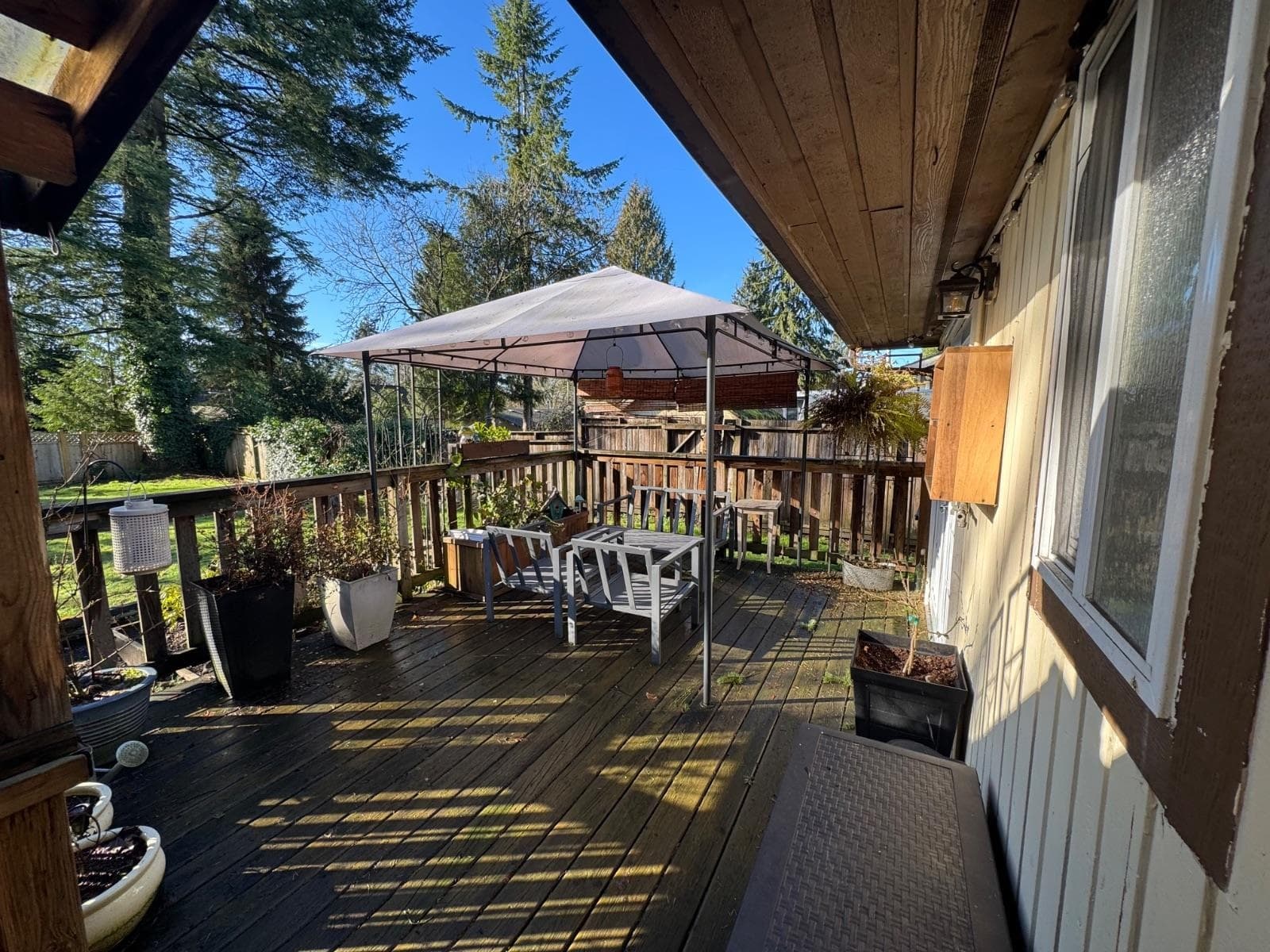 20624 Westfield Avenue, Maple Ridge, V2X 1L6 — photo 3