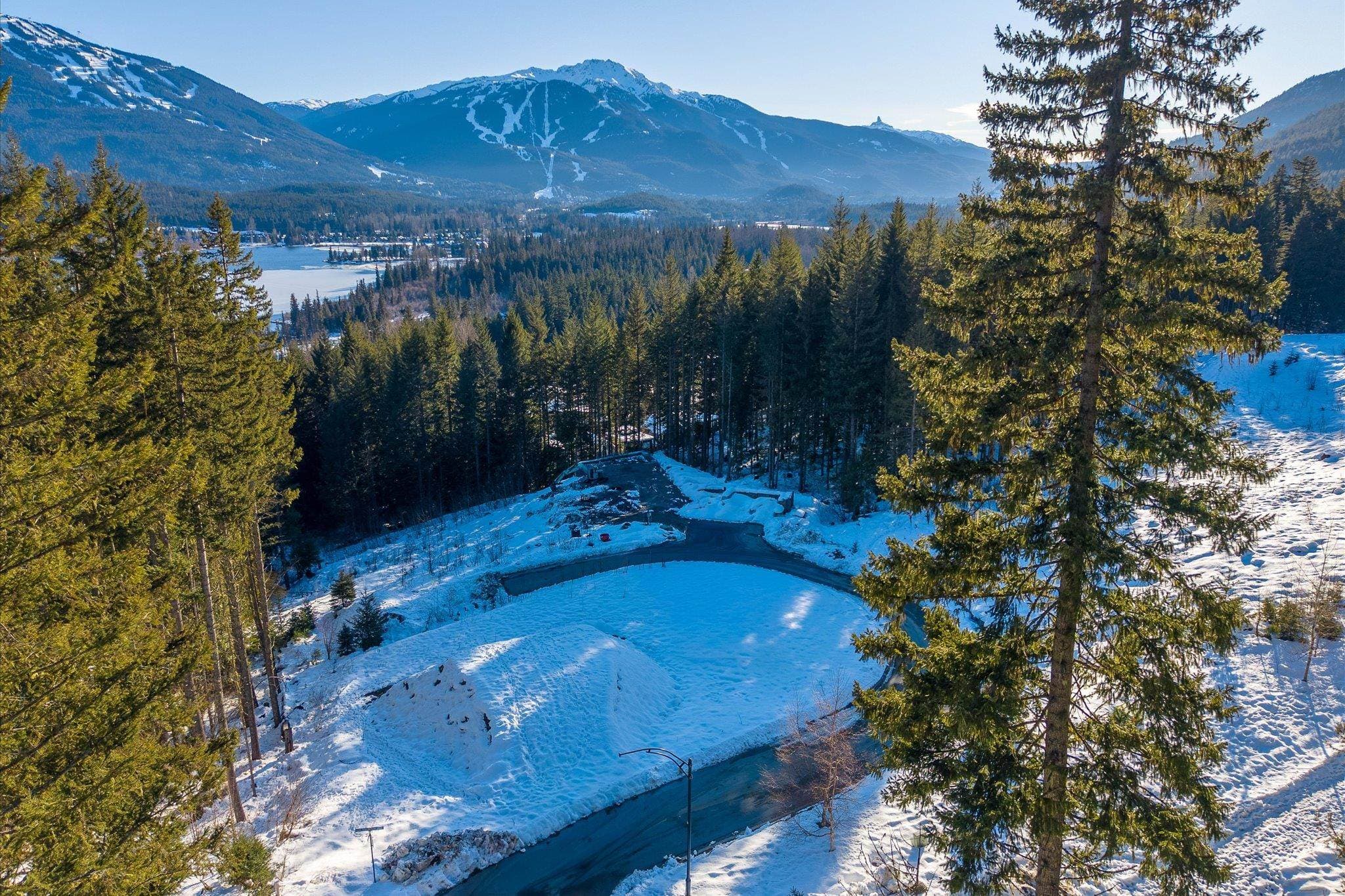 8611 Maelle Ricker Lane, Whistler, V8E 1L9 — photo 2