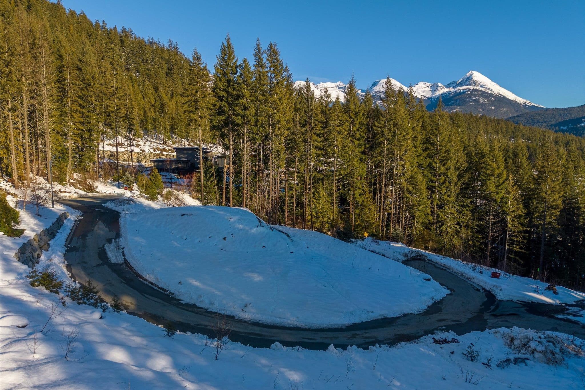8611 Maelle Ricker Lane, Whistler, V8E 1L9 — photo 5