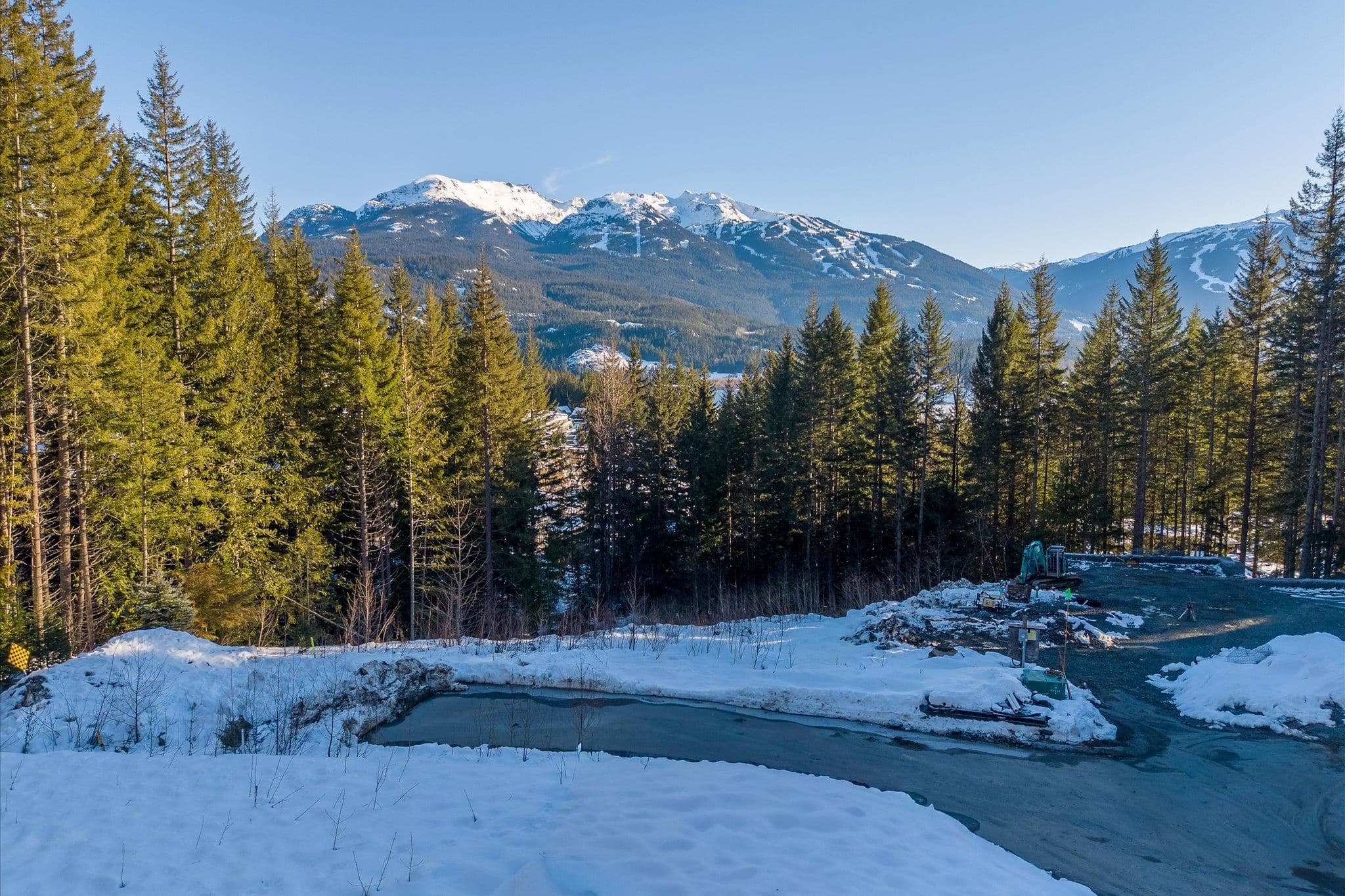8611 Maelle Ricker Lane, Whistler, V8E 1L9 — photo 4