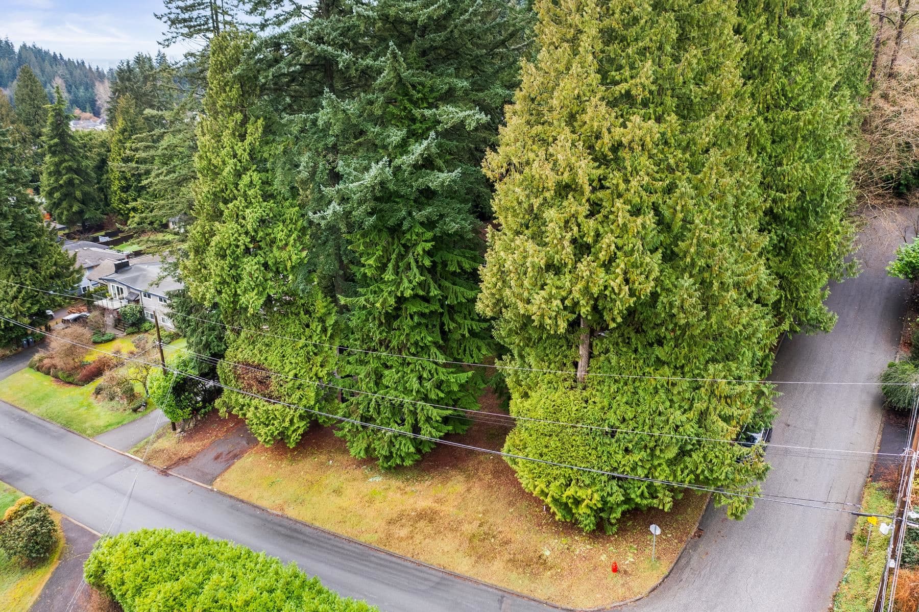 LOT 2 - 3091 Royal Avenue, North Vancouver, V7K 1Y6 — photo 5