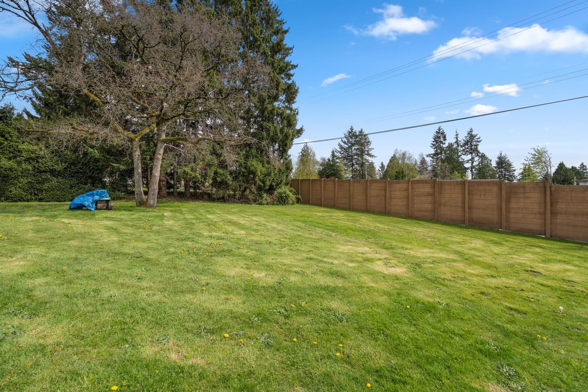 14633 56 Avenue, Surrey, V3S 1B6 — photo 5