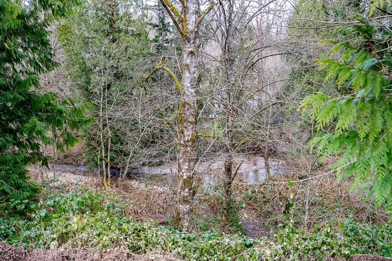 12041 256th Street Street, Maple Ridge, V4R 1B5 — photo 2