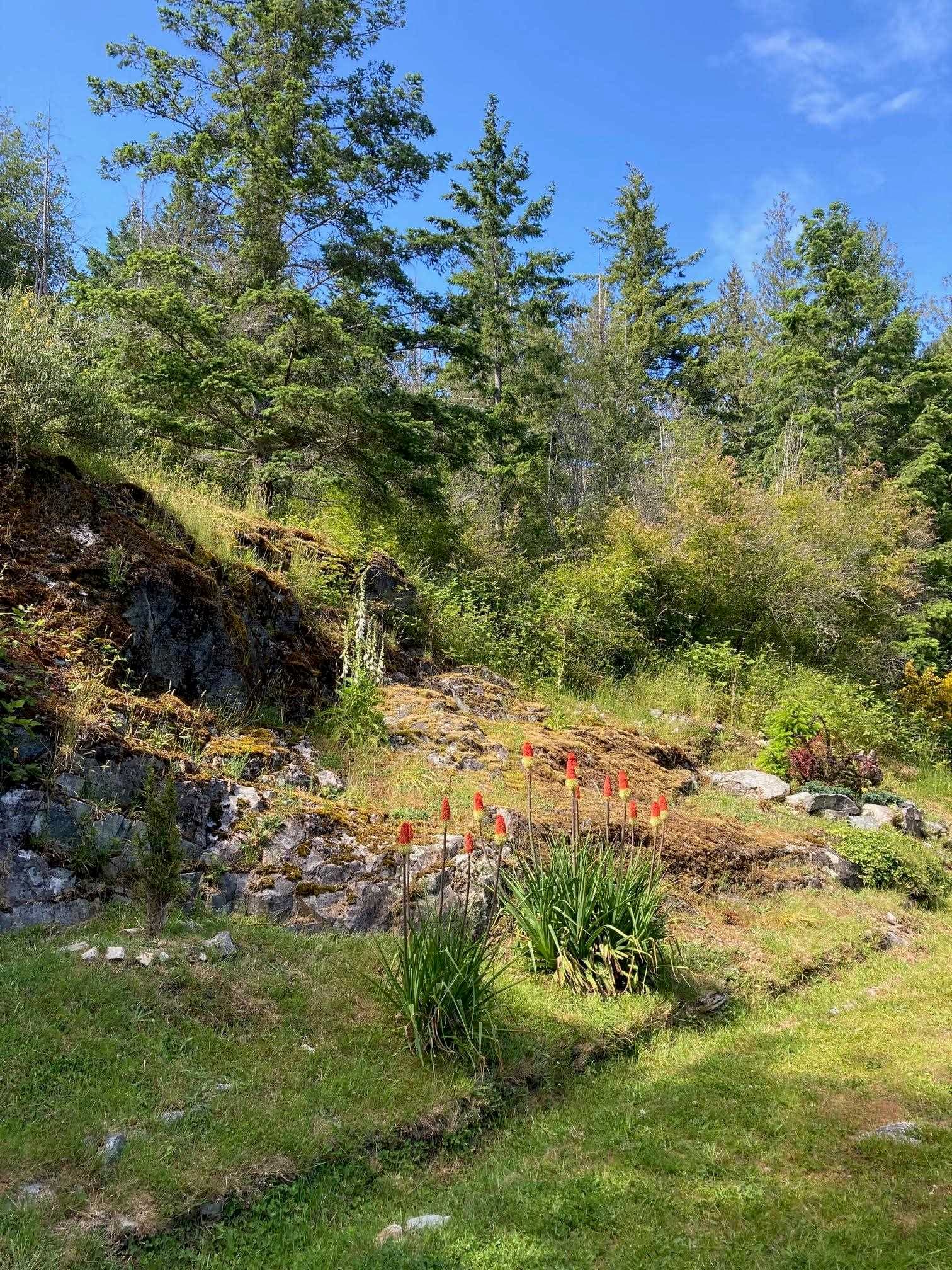 4569 Francis Peninsula Road, Madeira Park, V0N 2H1 — photo 3
