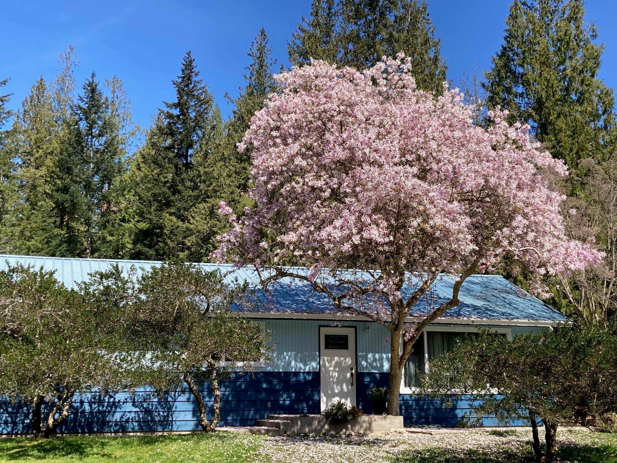 4569 Francis Peninsula Road, Madeira Park, V0N 2H1 — photo 1