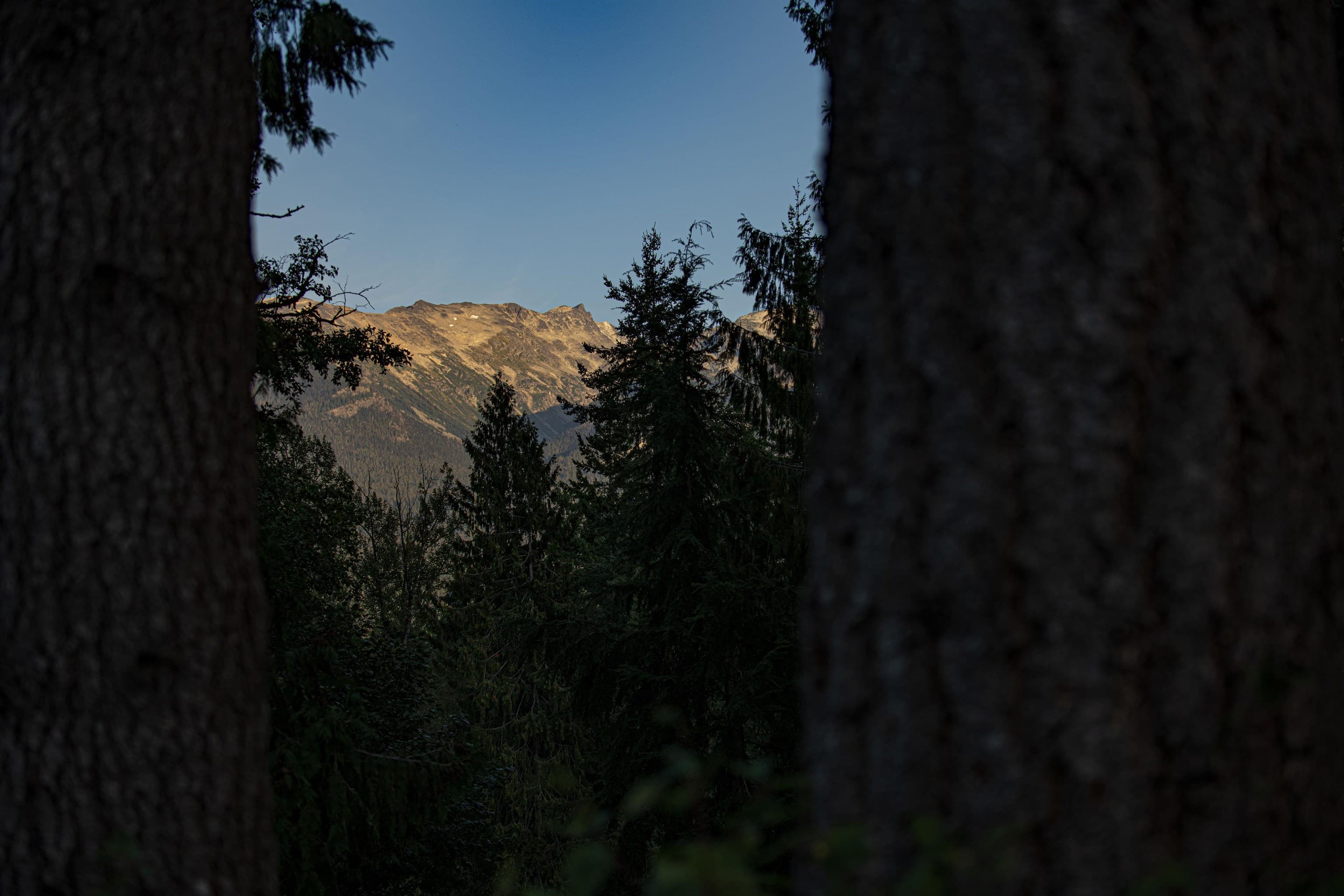 8270 Mountain View Drive, Whistler, V8E 0G3 — photo 5