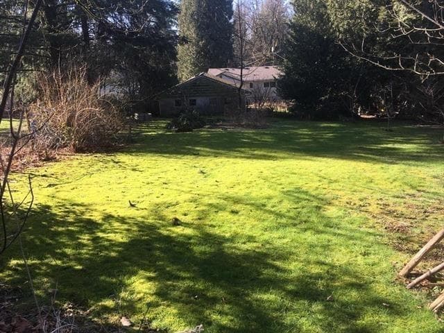 10586 127 Street, Surrey, V3V 5K2 — photo 2