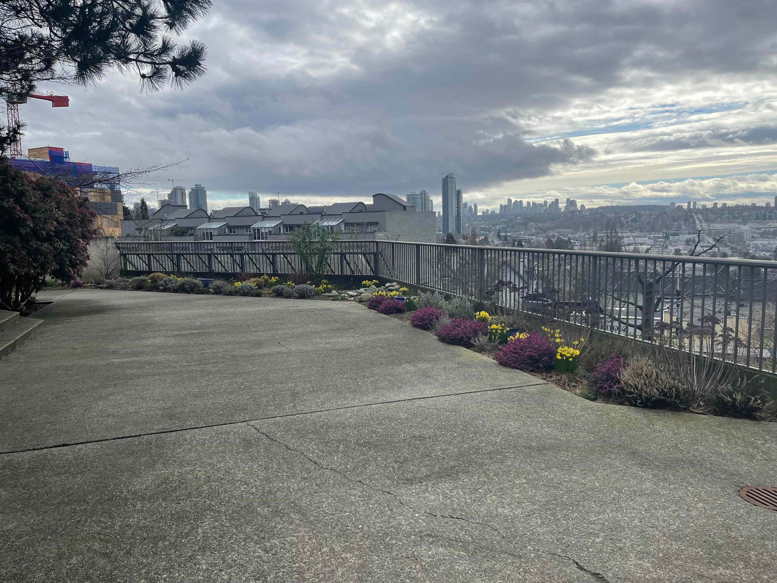 206 - 3760 Albert Street, Burnaby, V5C 5Y8 — photo 4
