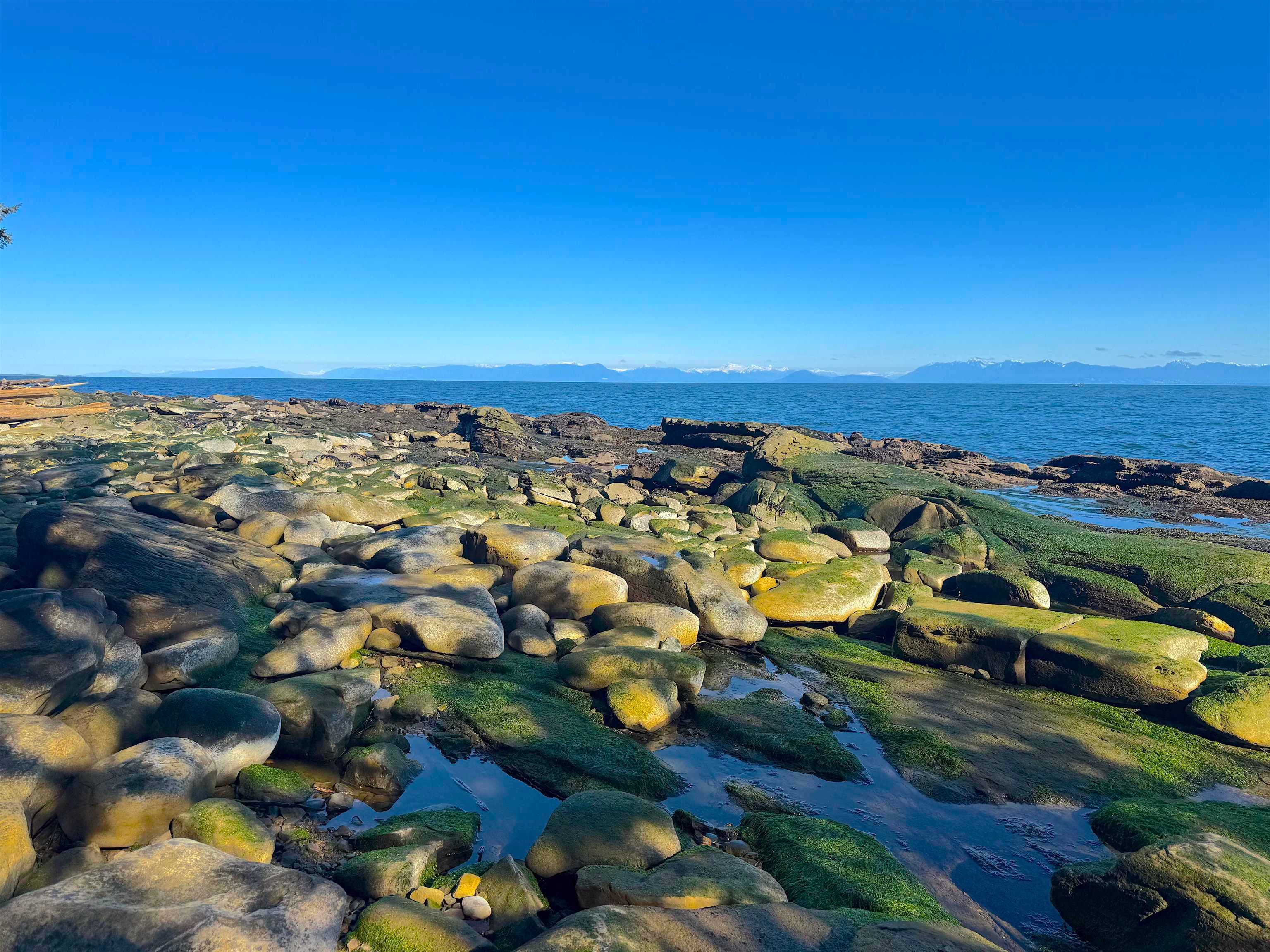 Lot 2 Bodega Beach Drive, Galiano Island, V0N 1P0 — photo 3