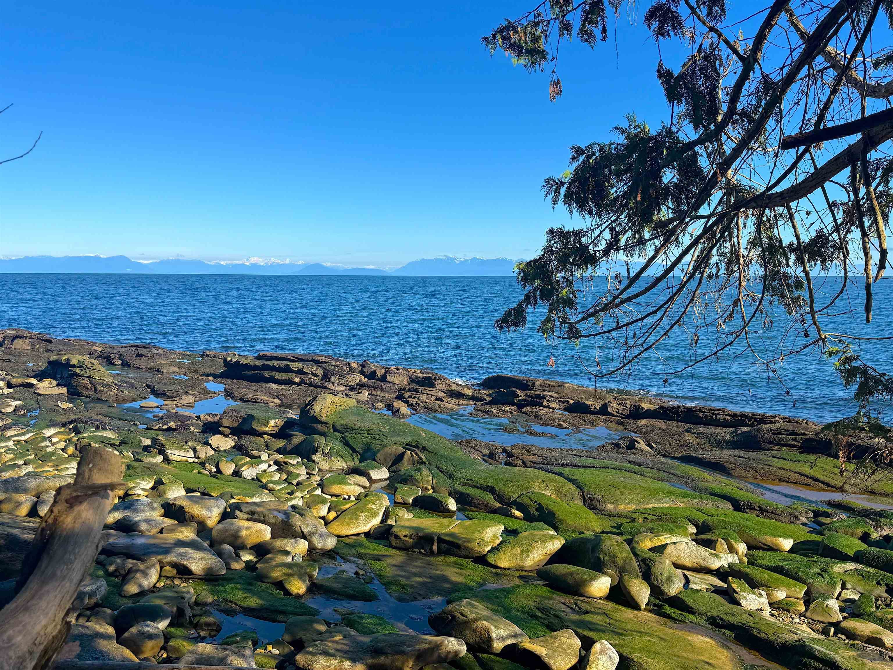 Lot 2 Bodega Beach Drive, Galiano Island, V0N 1P0 — photo 4