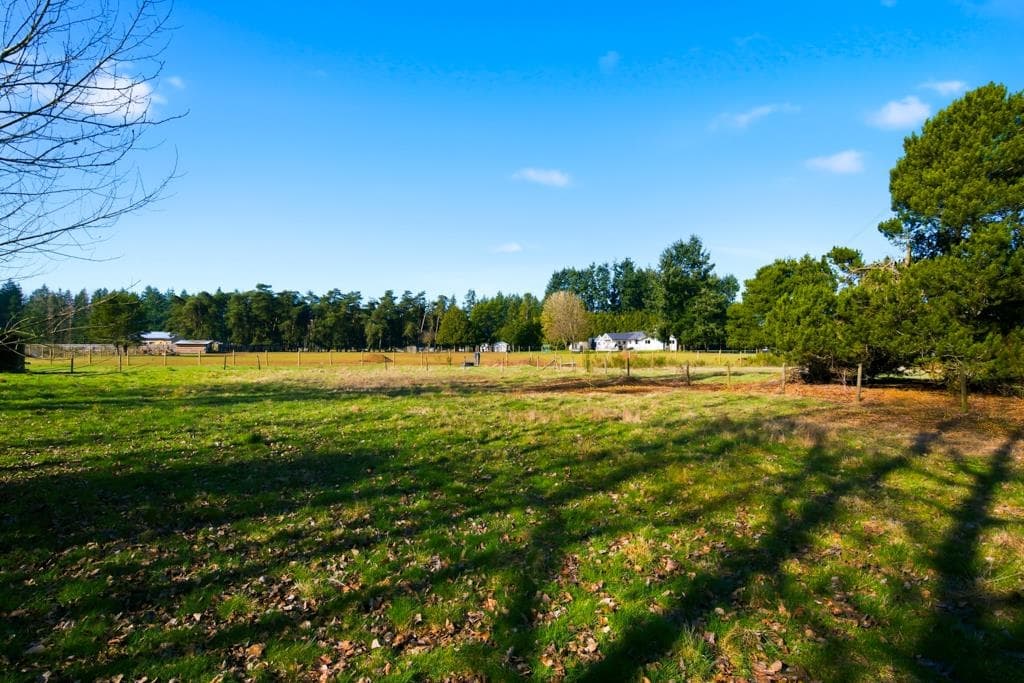 3907 212 Street, Langley, V3A 9L1 — photo 5
