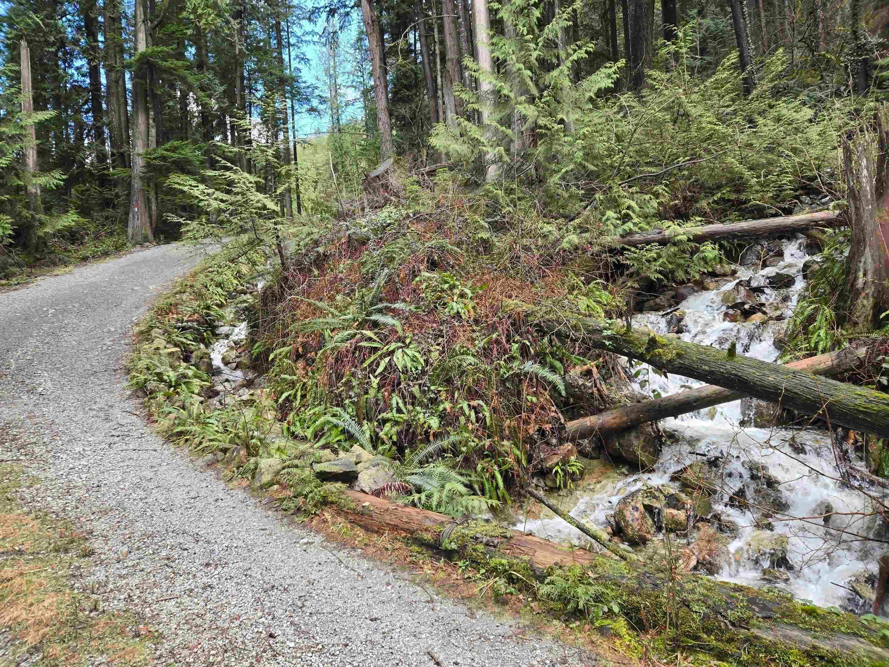 Lot 4 Williams Landing, Pitt Meadows, V0N 1V0 — photo 5