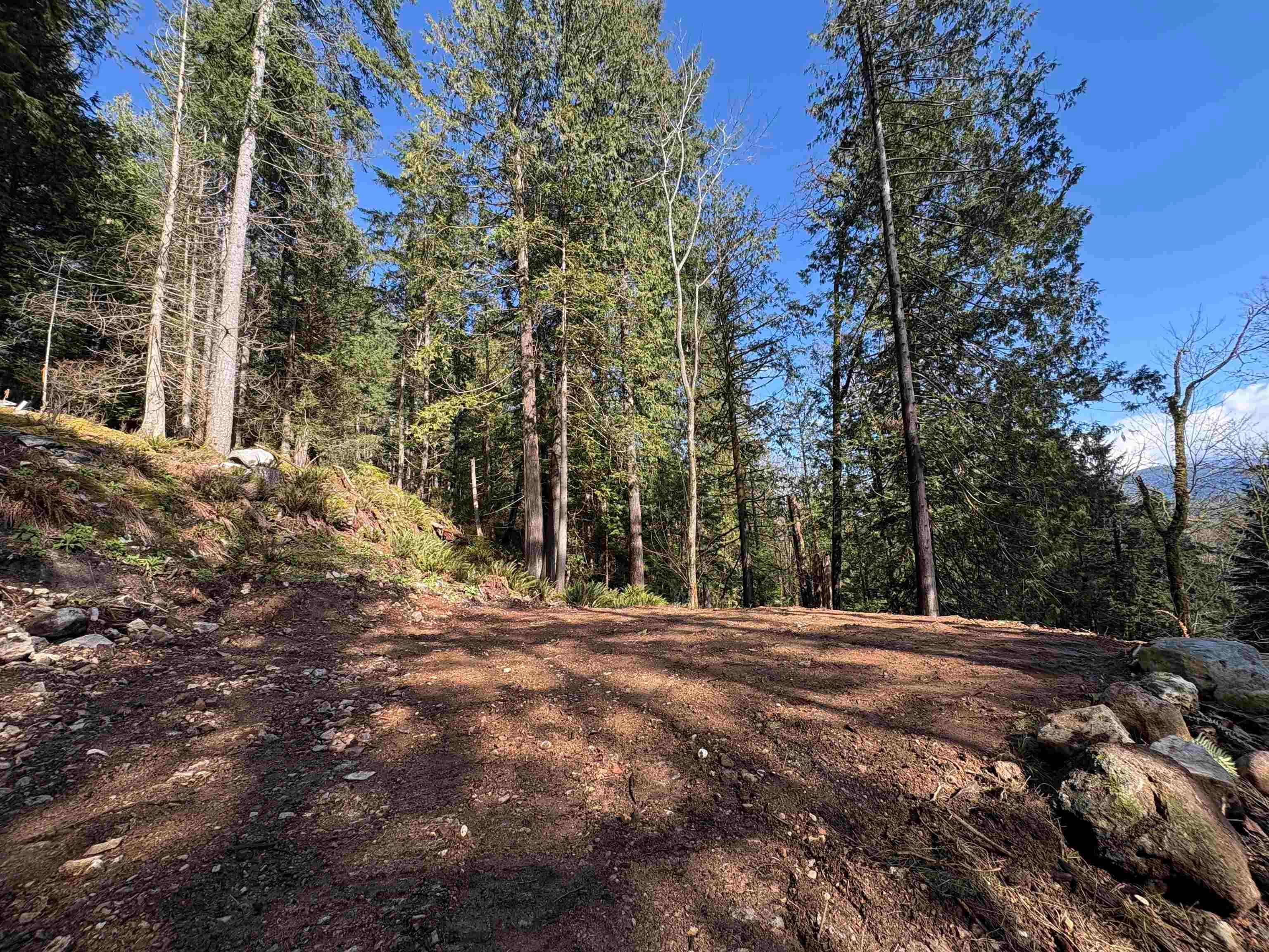 883 West Bay Road, Gambier Island, V0N 1V0 — photo 3