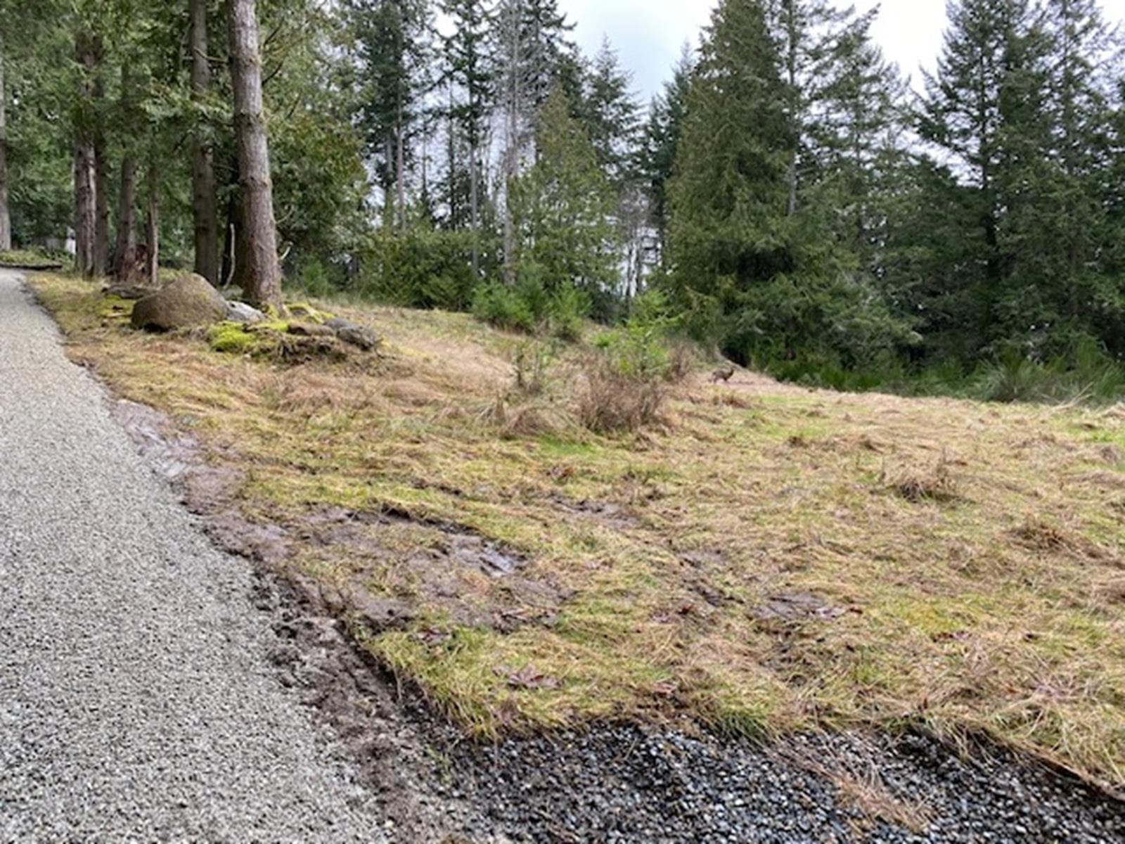 672 Isabella Point Road, Salt Spring Island, V8K 1V6 — photo 2