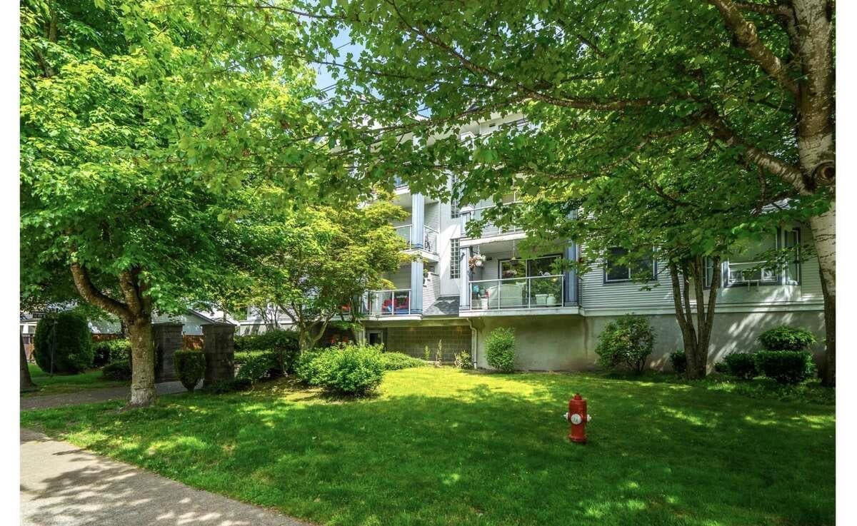 210 - 20177 54a Avenue, Langley, V3A 3W6 — photo 2