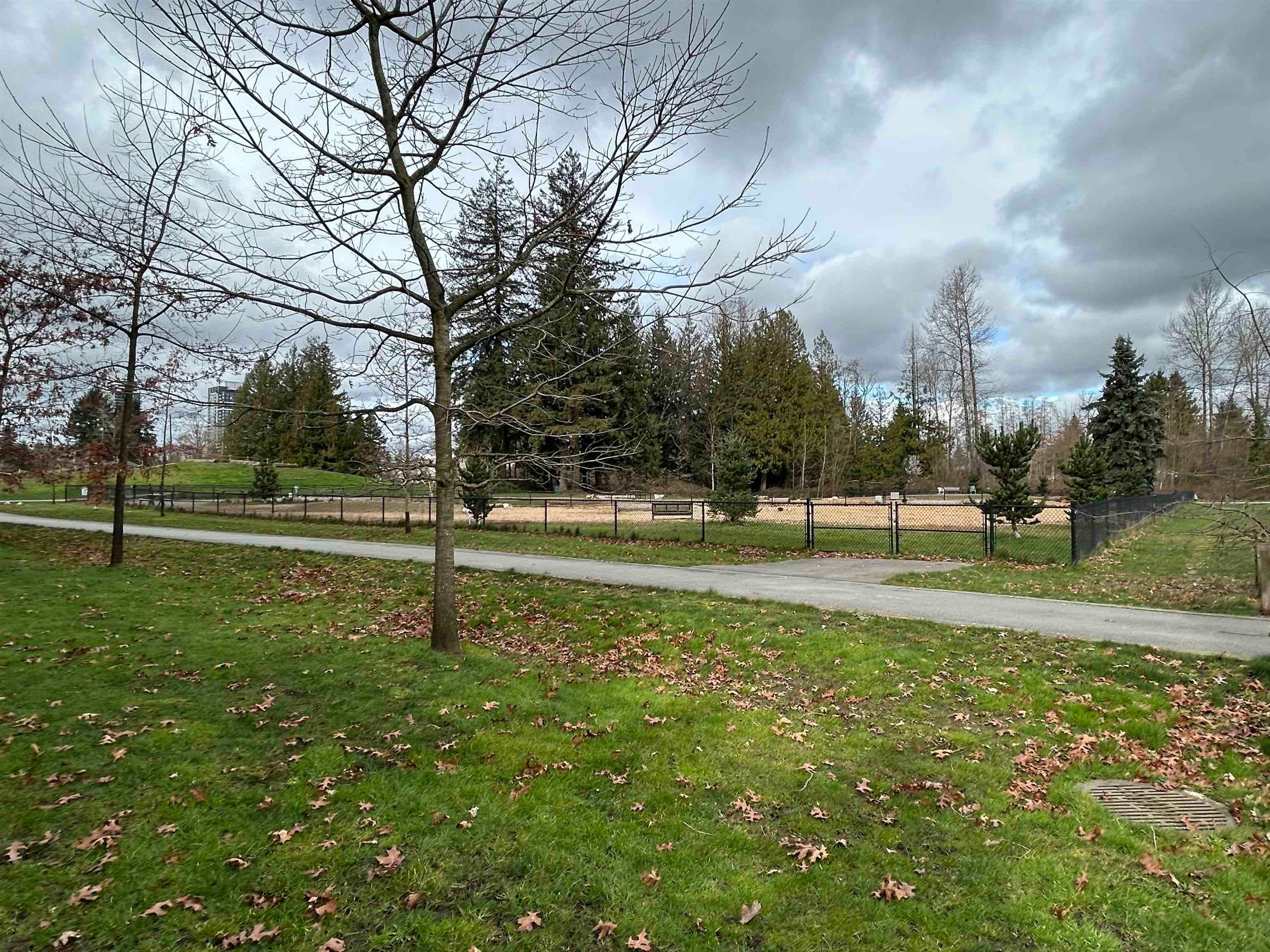 512 - 10603 140 Street, Surrey, V3T 0M8 — photo 2