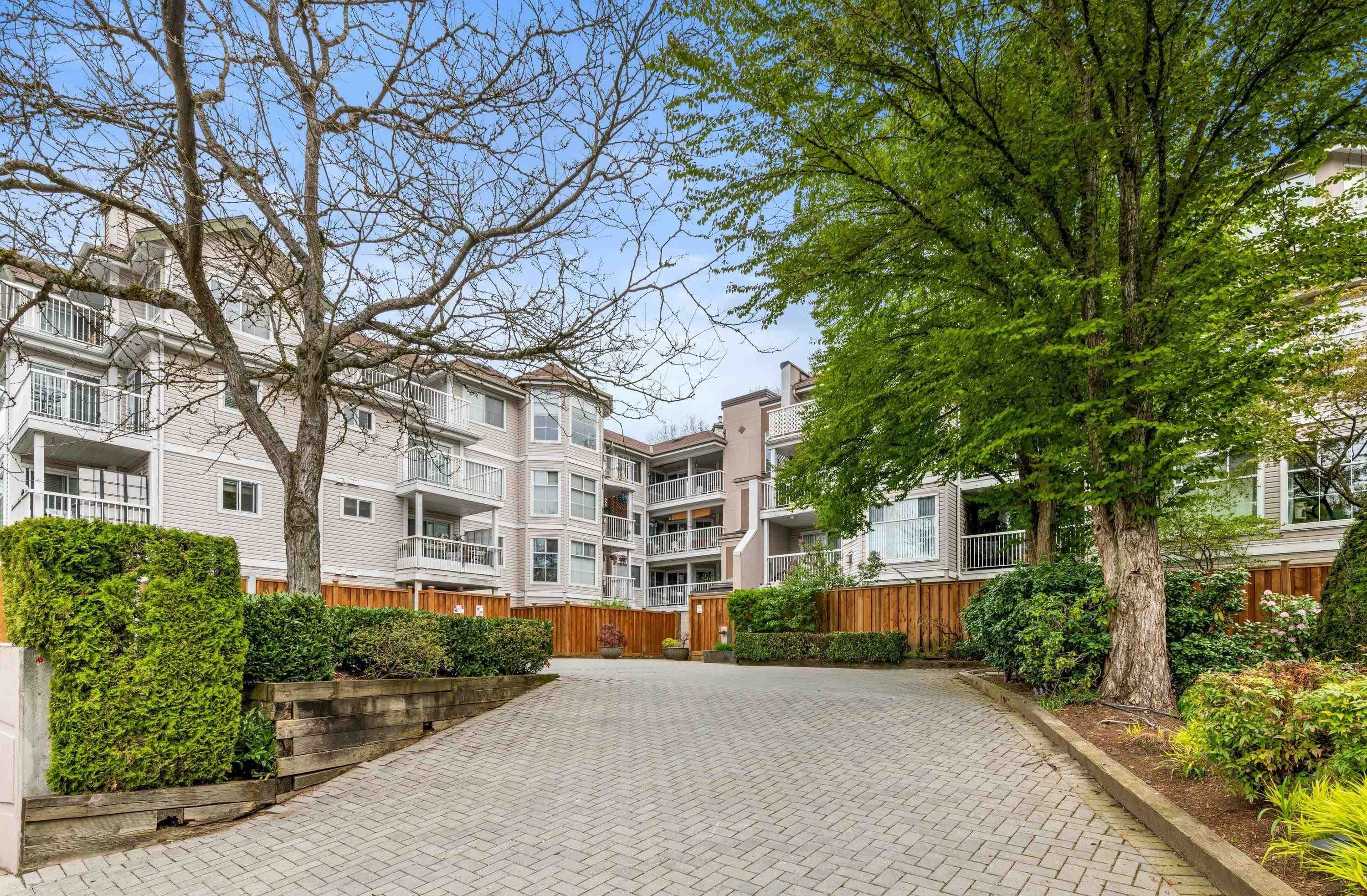 401 - 2678 Dixon Street, Port Coquitlam, V3C 6L7 — photo 3