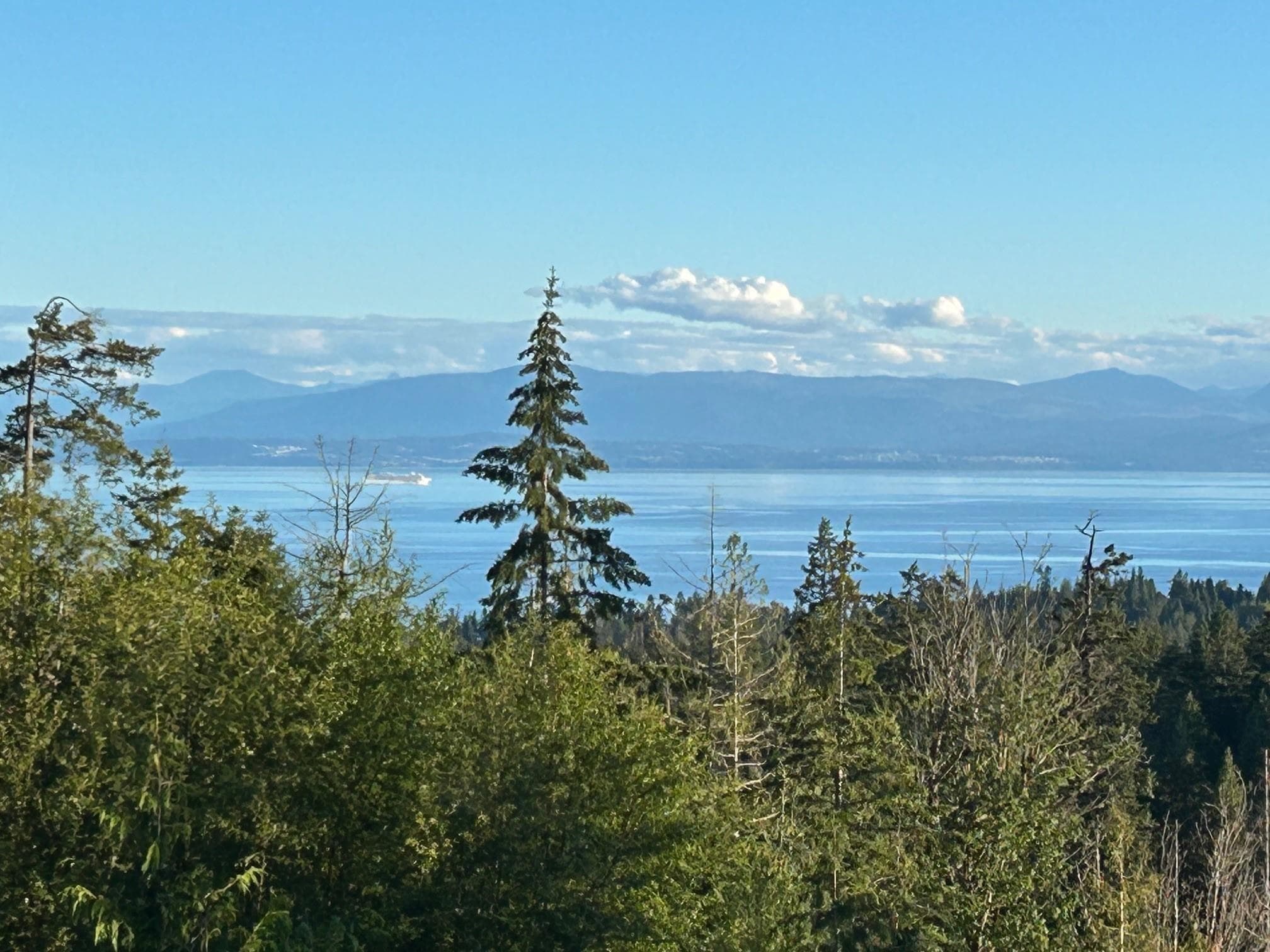 6016 Leaning Tree Road, Halfmoon Bay, V7Z 1C2 — photo 2