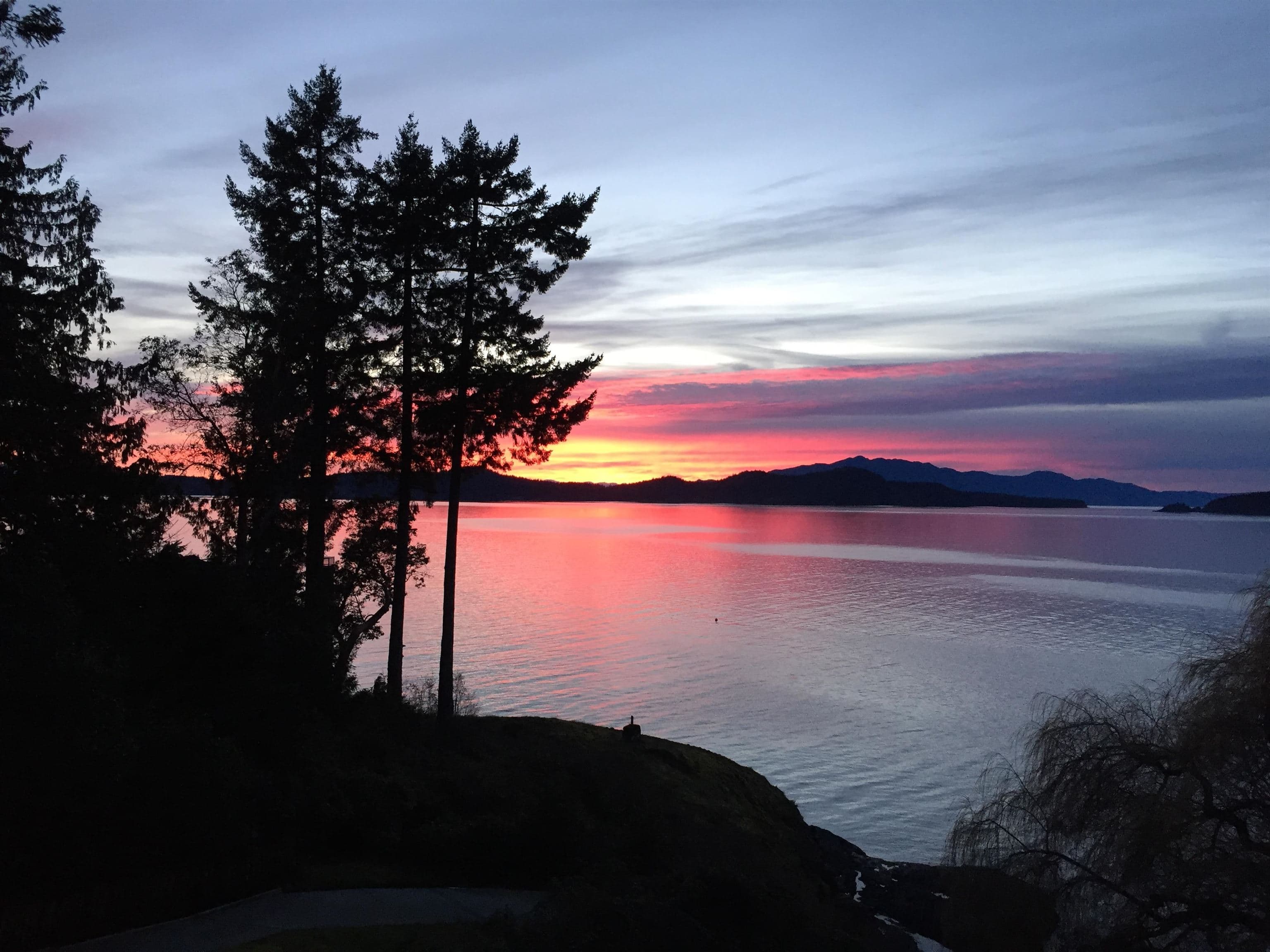 8429 Redrooffs Road, Halfmoon Bay