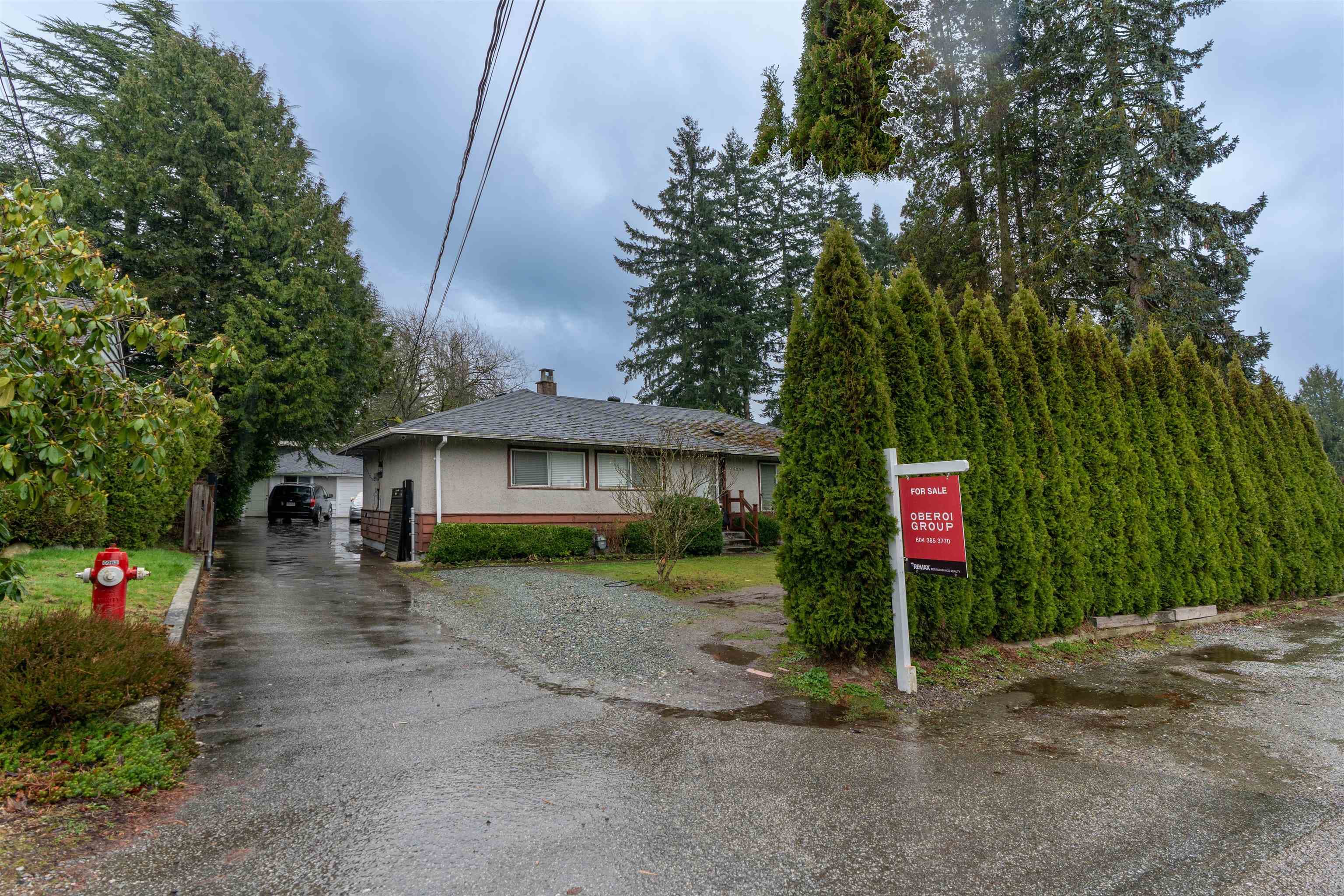 10246 125a Street, Surrey, V3V 4Z5 — photo 3