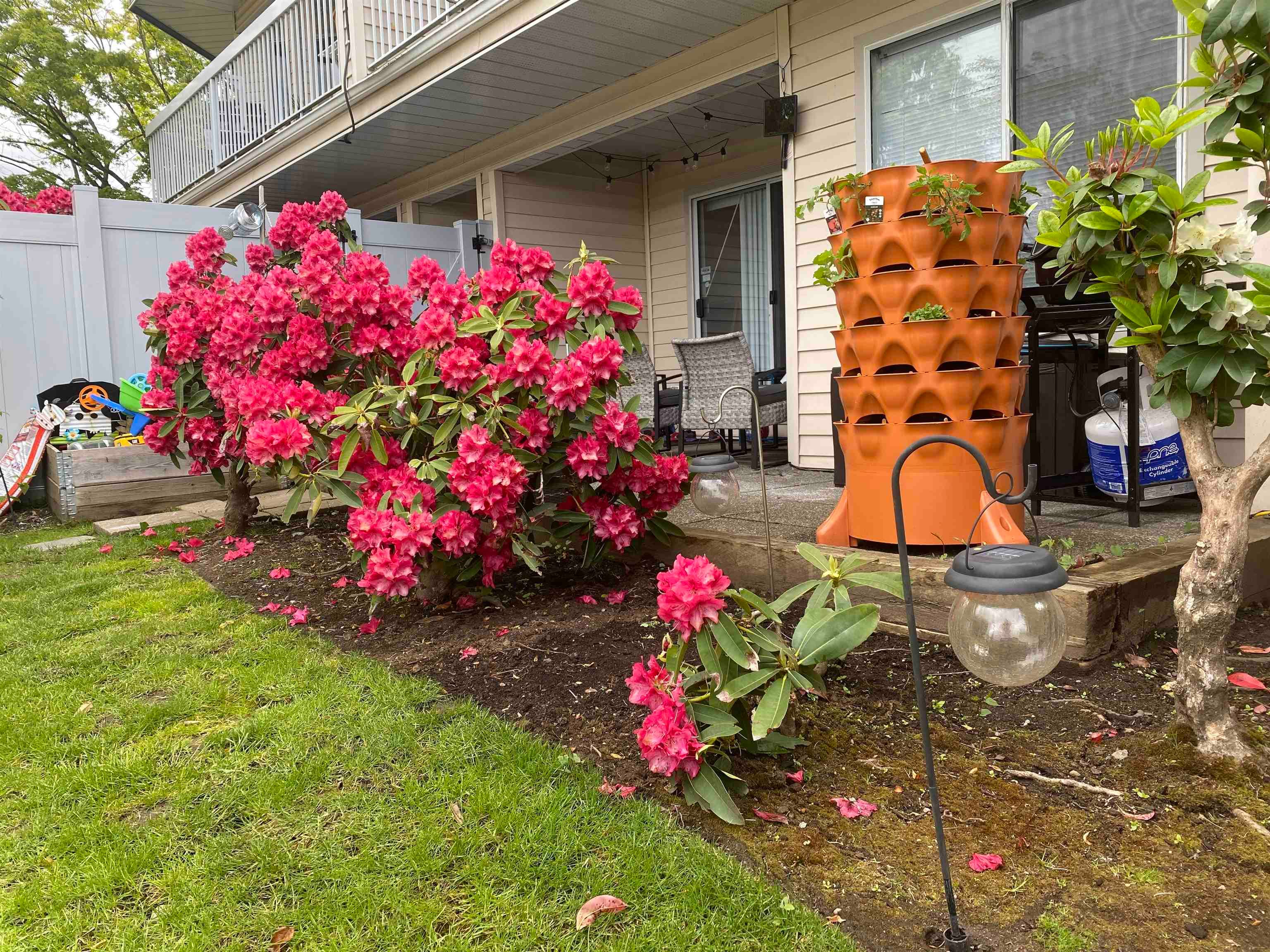 103 - 9299 121 Street, Surrey, V3V 7X8 — photo 1