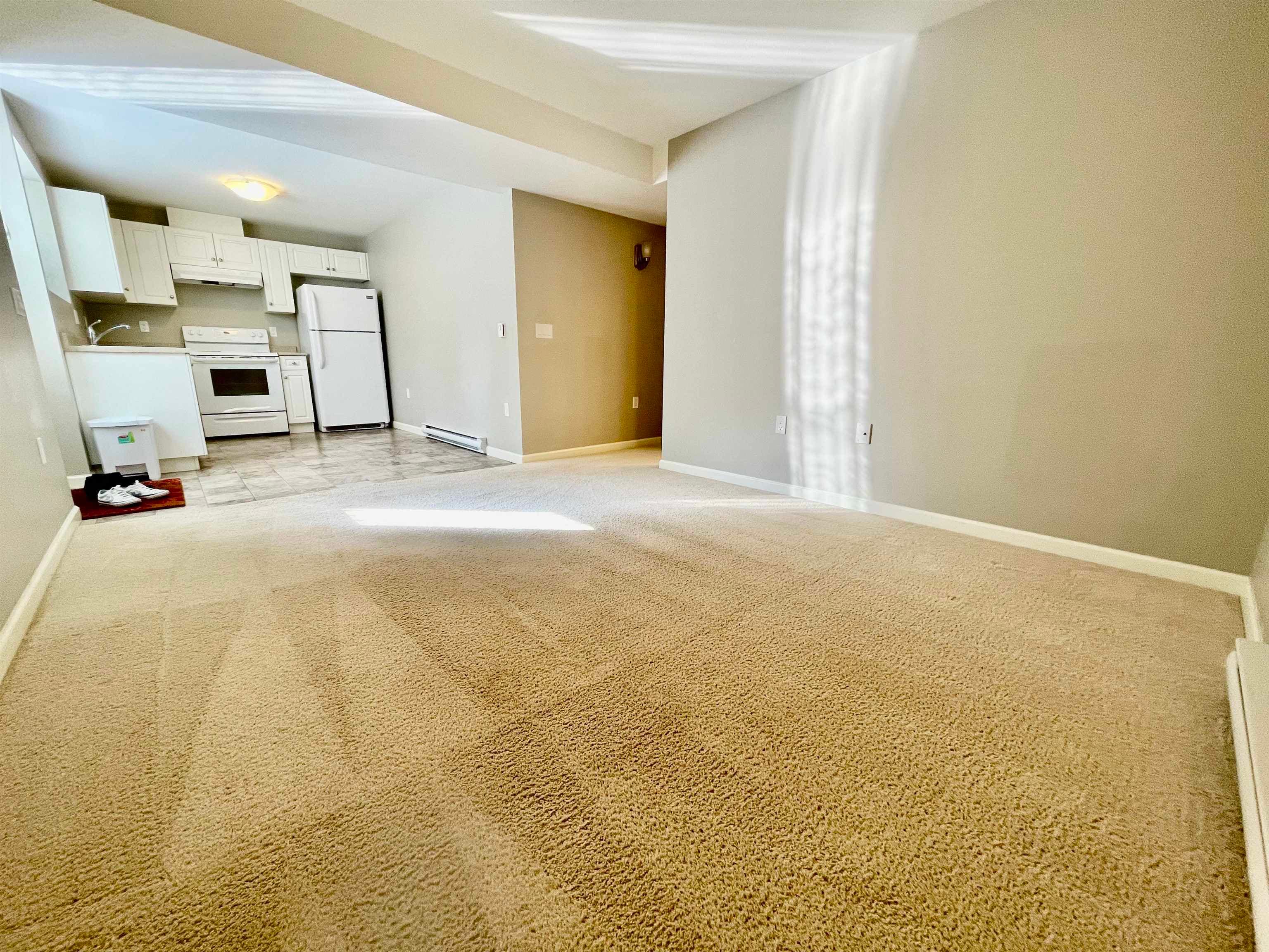 Basement - 790x 211b Street, Langley