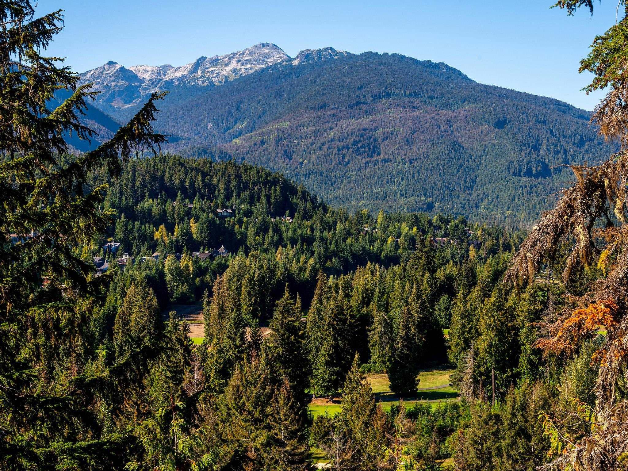 3853 Sunridge Court, Whistler, V8E 0W1 — photo 5