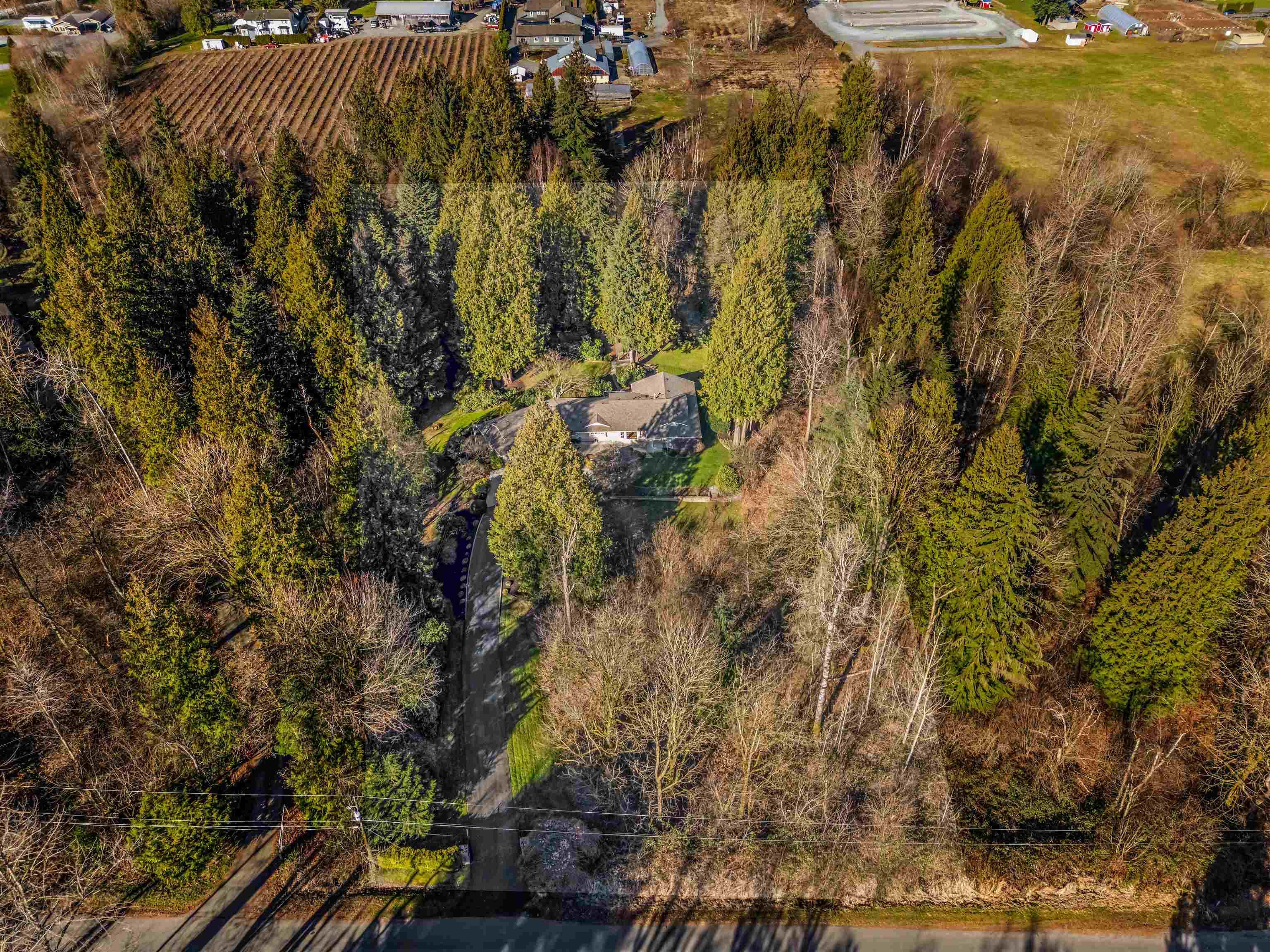 31553 Brookside Avenue, Abbotsford, V2T 5W6 — photo 3