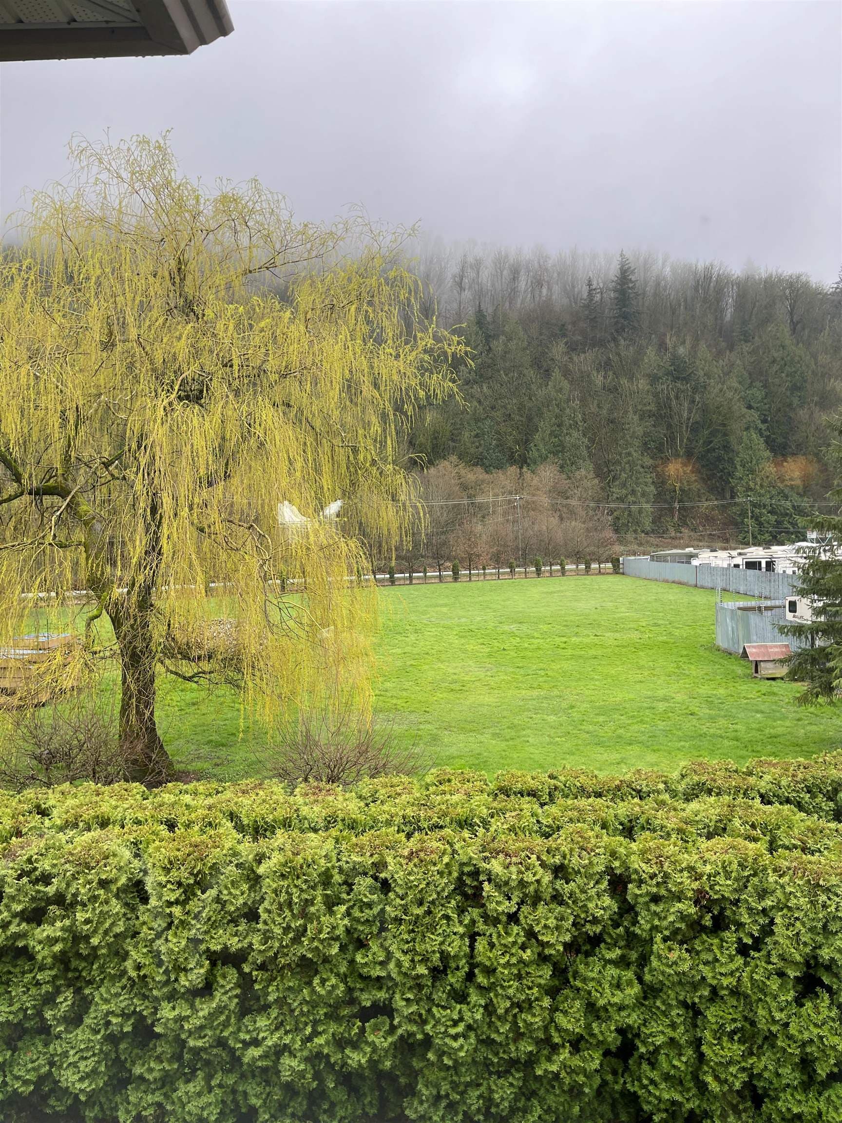 43462 Lumsden Road, Yarrow, V2R 4R4 — photo 5