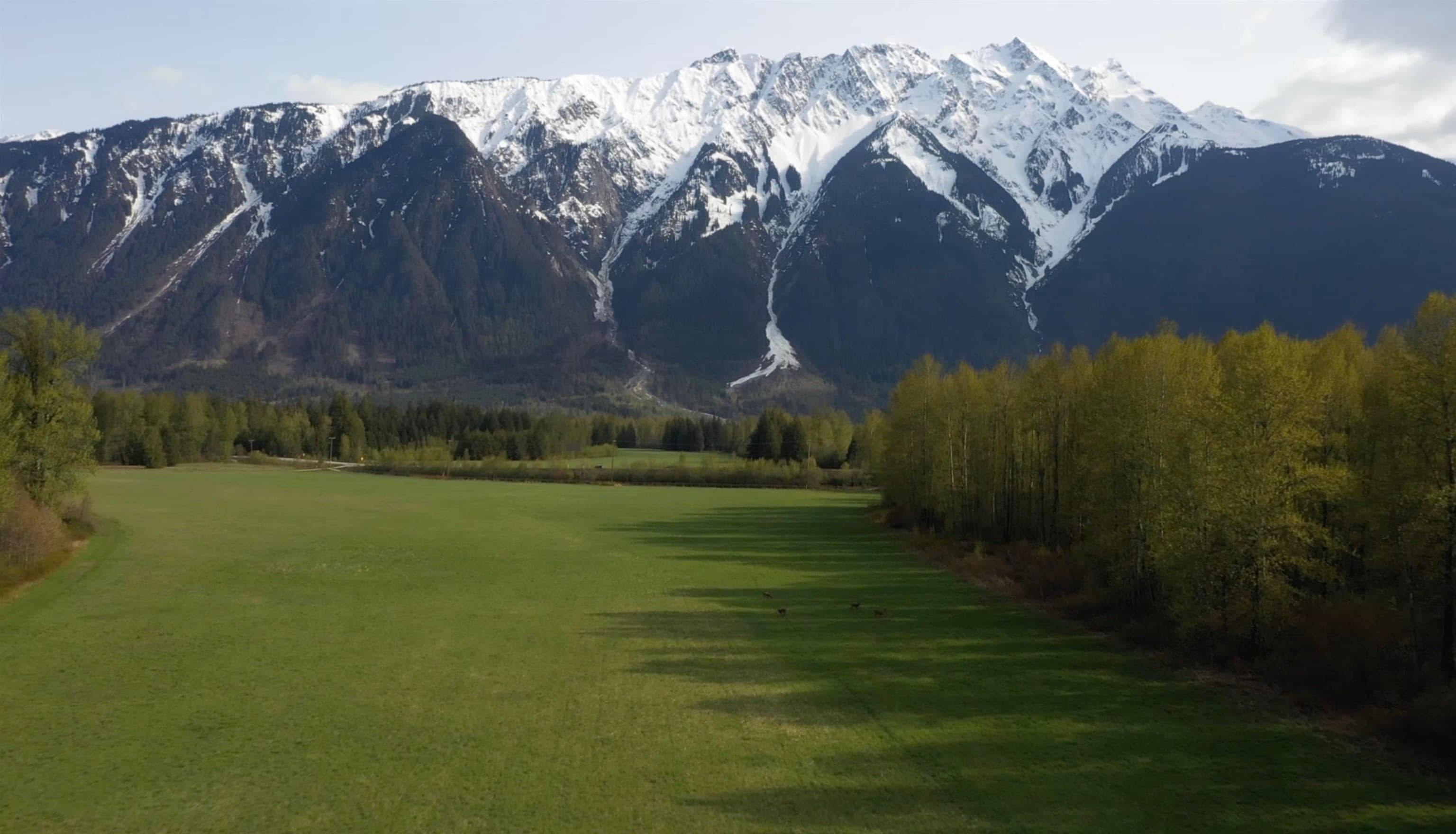 1692 Highway 99, Pemberton, V0N 2L0 — photo 4