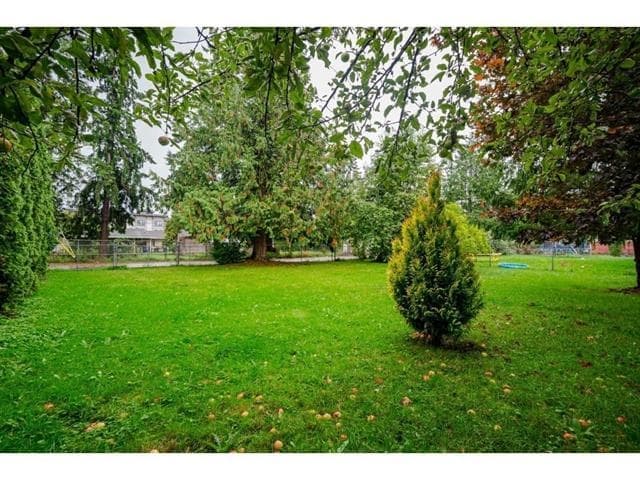 19680 56 Avenue, Langley, V3S 6K3 — photo 4