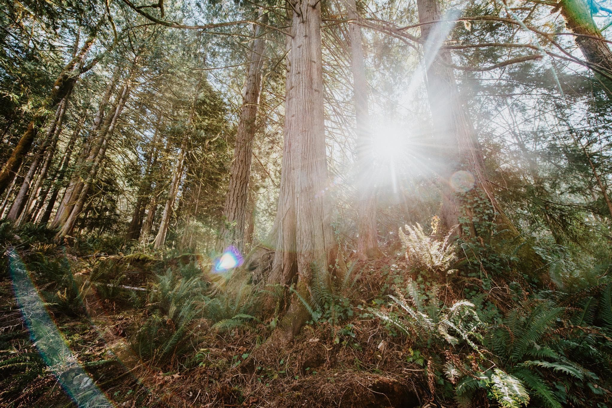 5735 Naylor Road, Sechelt