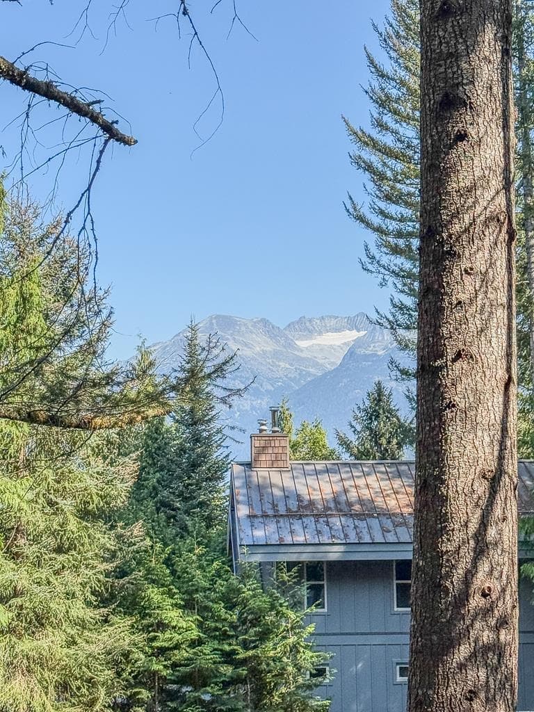 8232 Alpine Way, Whistler, V8E 0G2 — photo 2