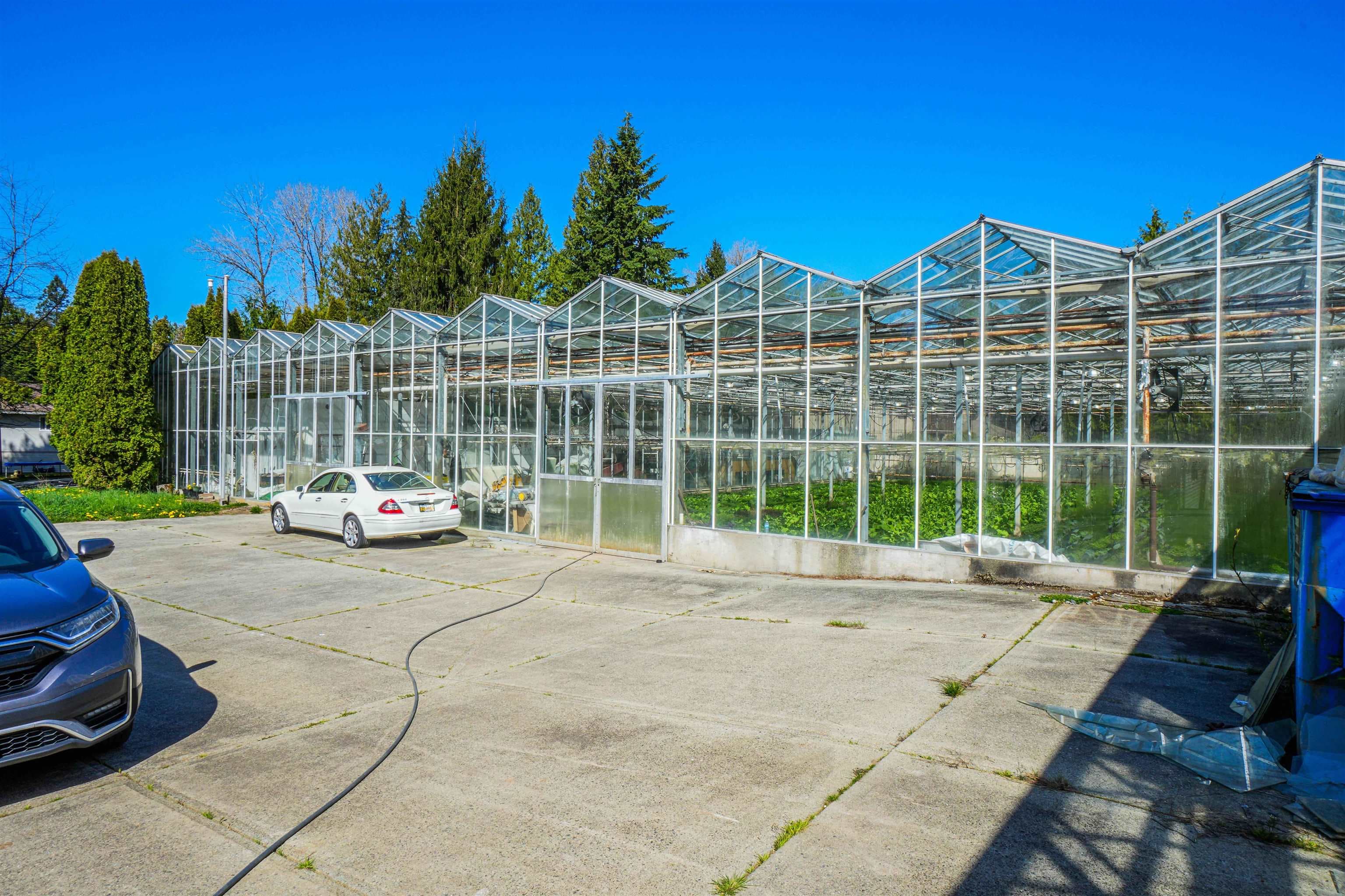 12336 240 Street, Maple Ridge, V4R 1N1 — photo 4