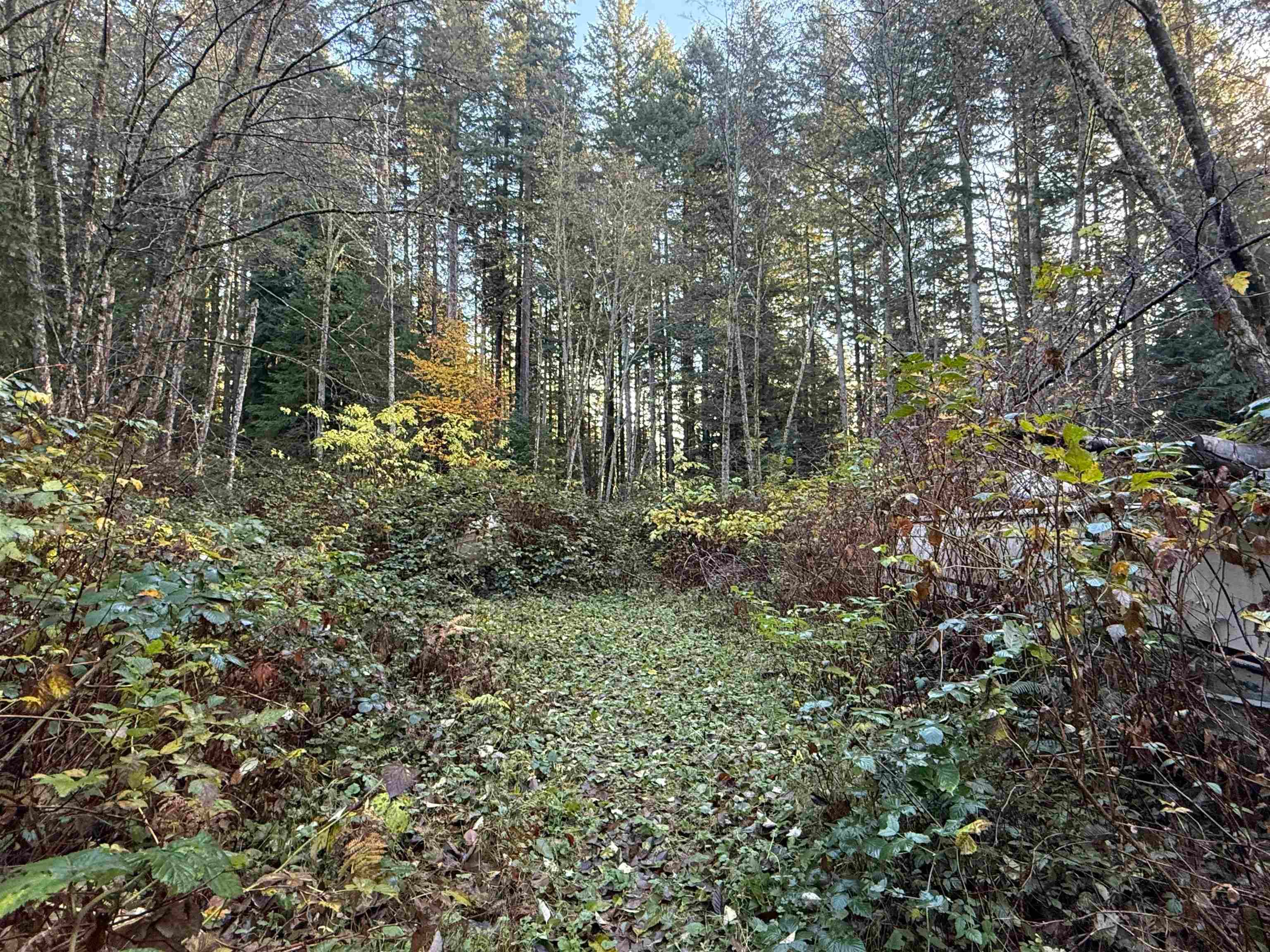 1594 Cemetery Road, Gibsons