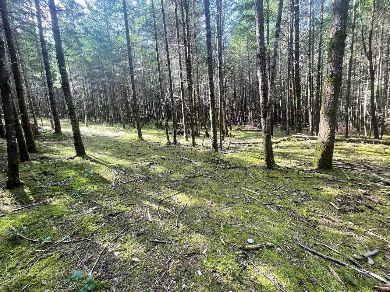 1840 Seymour Road, Gabriola Island, V0R 1X6 — photo 3