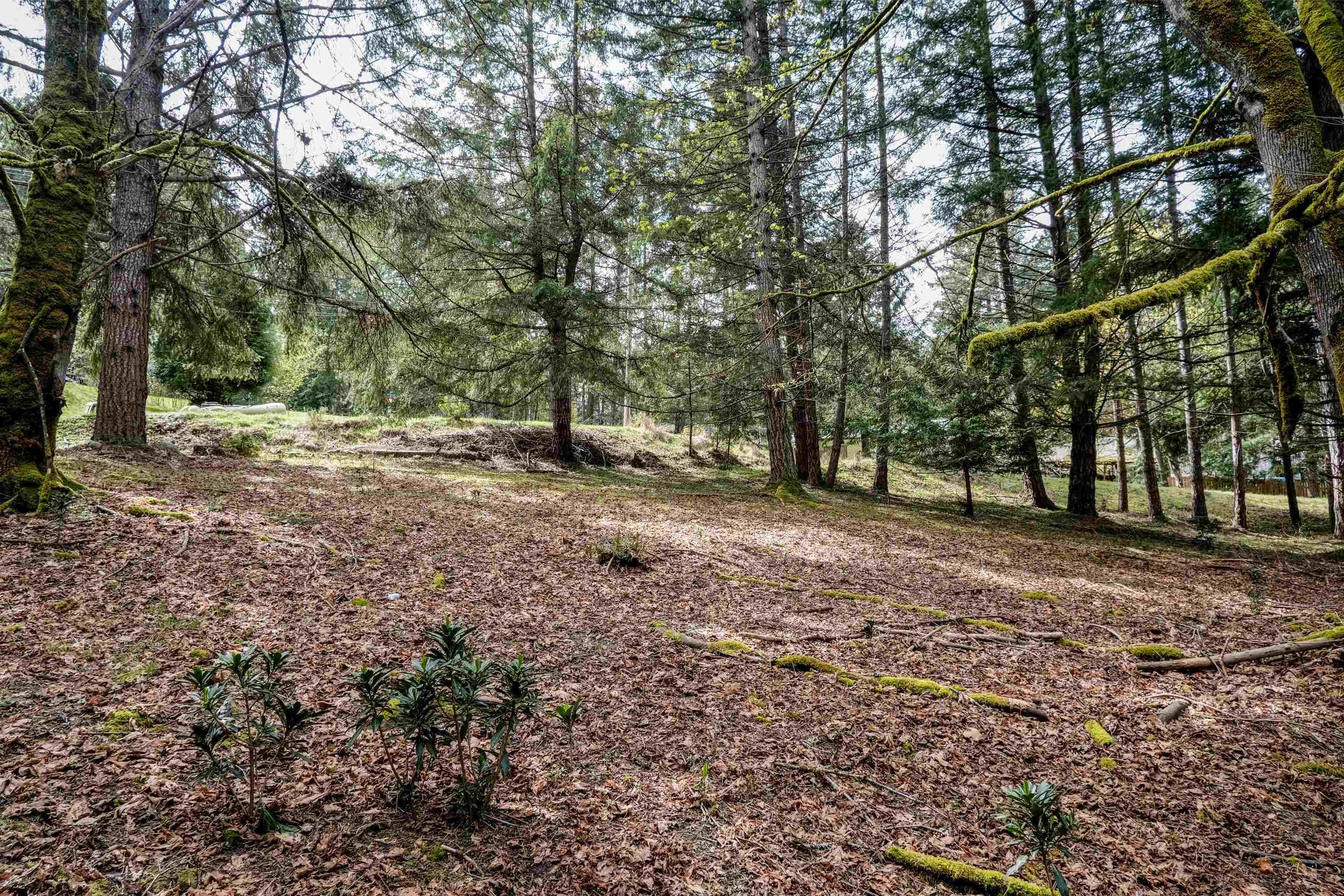 548 Dalton Drive, Mayne Island, V0N 2J2 — photo 2