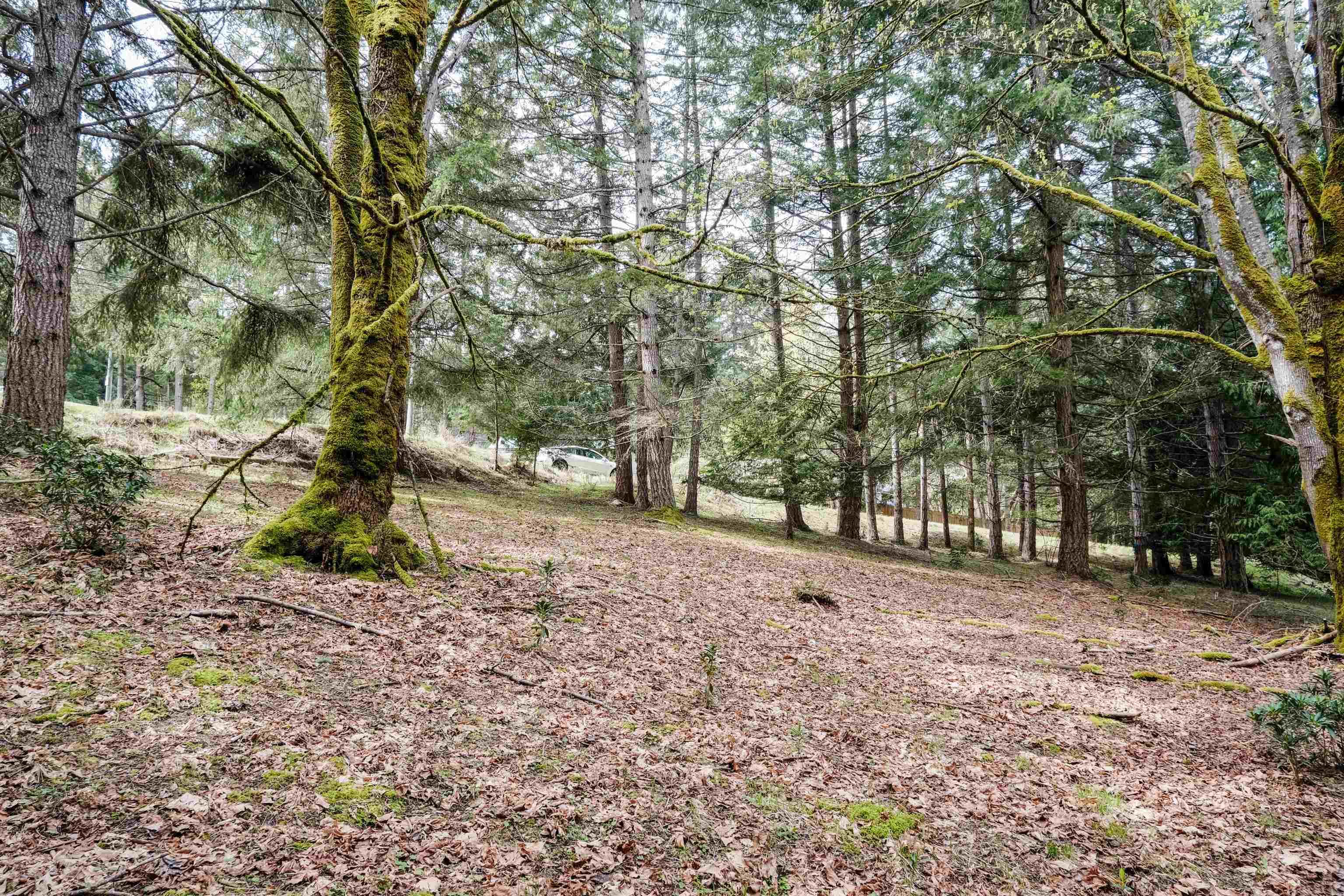 548 Dalton Drive, Mayne Island, V0N 2J2 — photo 5