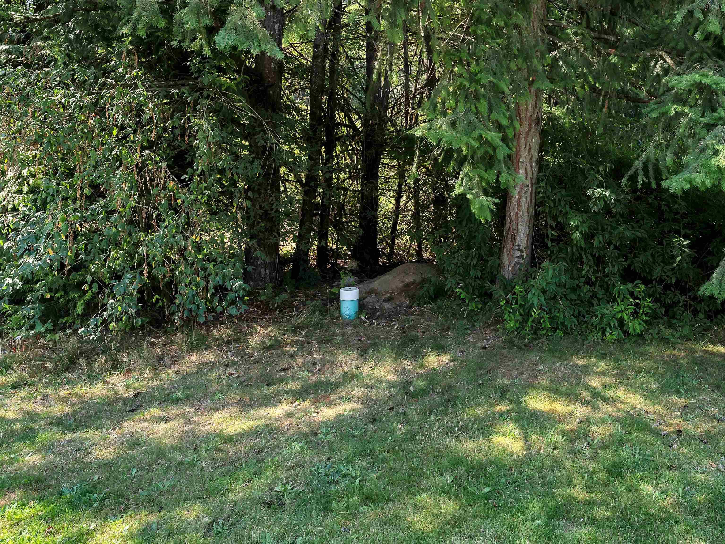 20117 Beacon Road, Hope, V0X 1L2 — photo 3