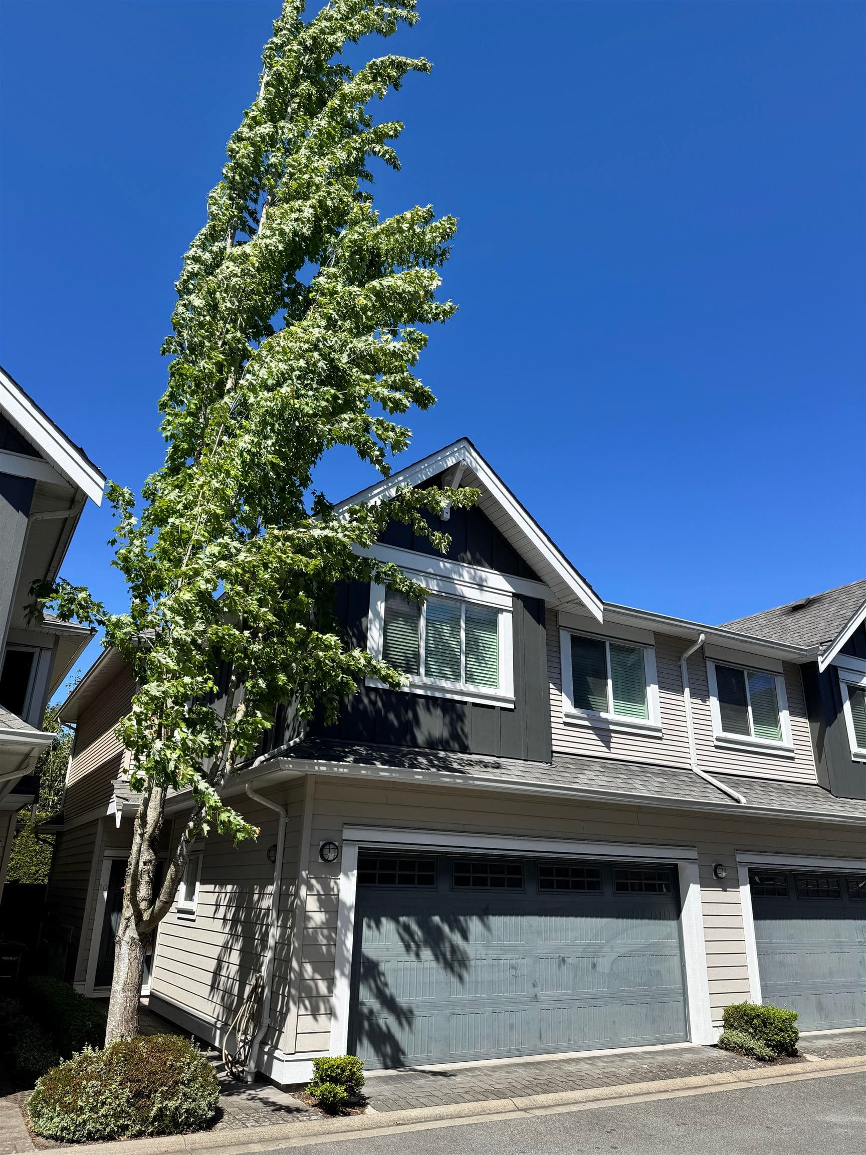 10 - 8091 Williams Road, Richmond