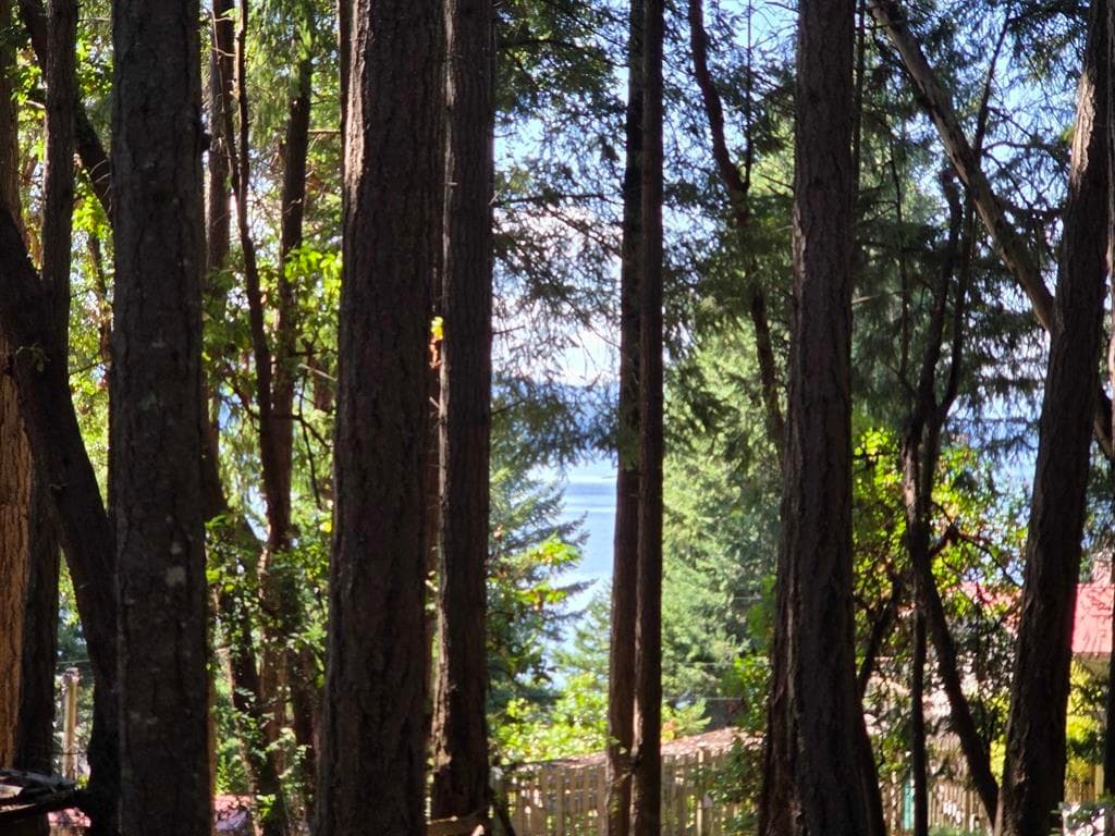 488 Letour Road, Mayne Island, V0N 2J2 — photo 2