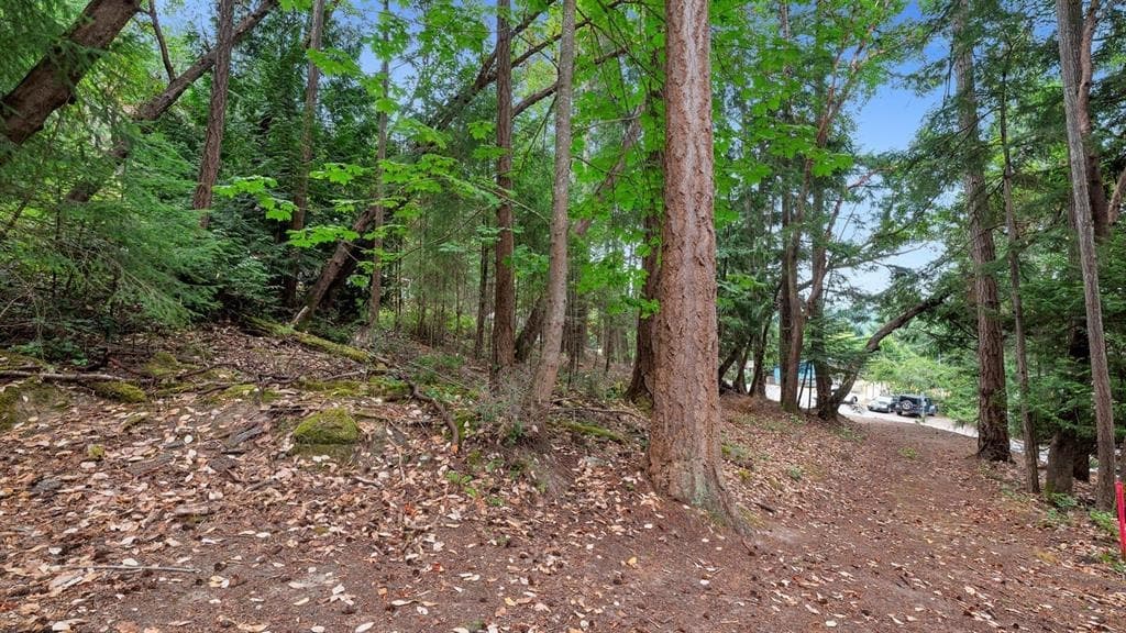 488 Letour Road, Mayne Island, V0N 2J2 — photo 3