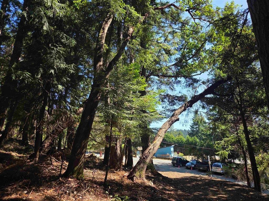 488 Letour Road, Mayne Island